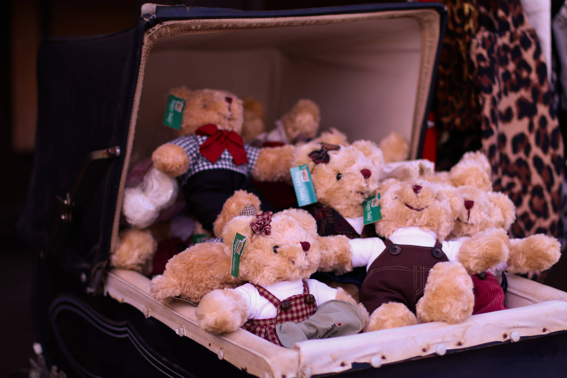 Cute Teddy Bear In A Box