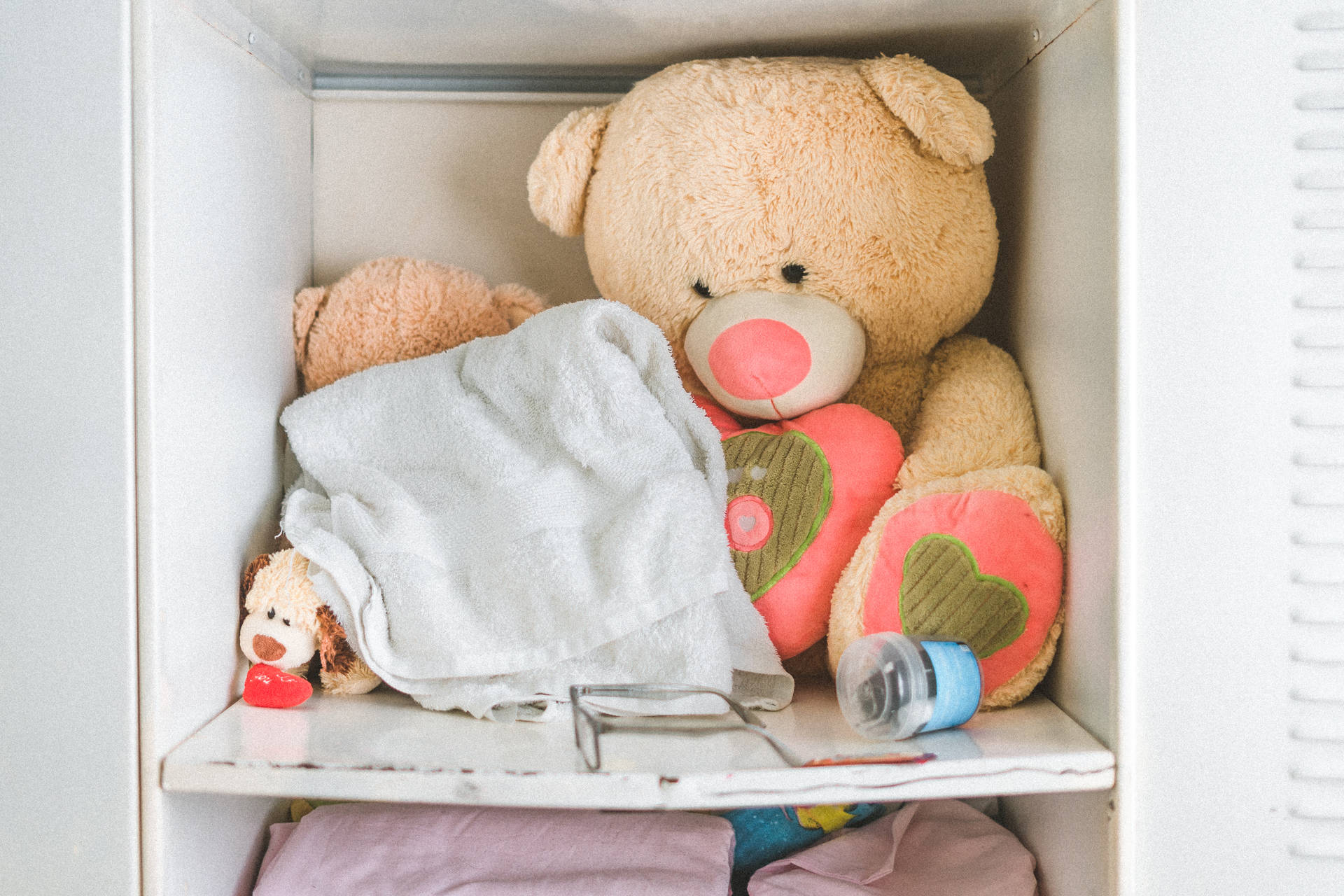 Cute Teddy Bear In A Cabinet Background