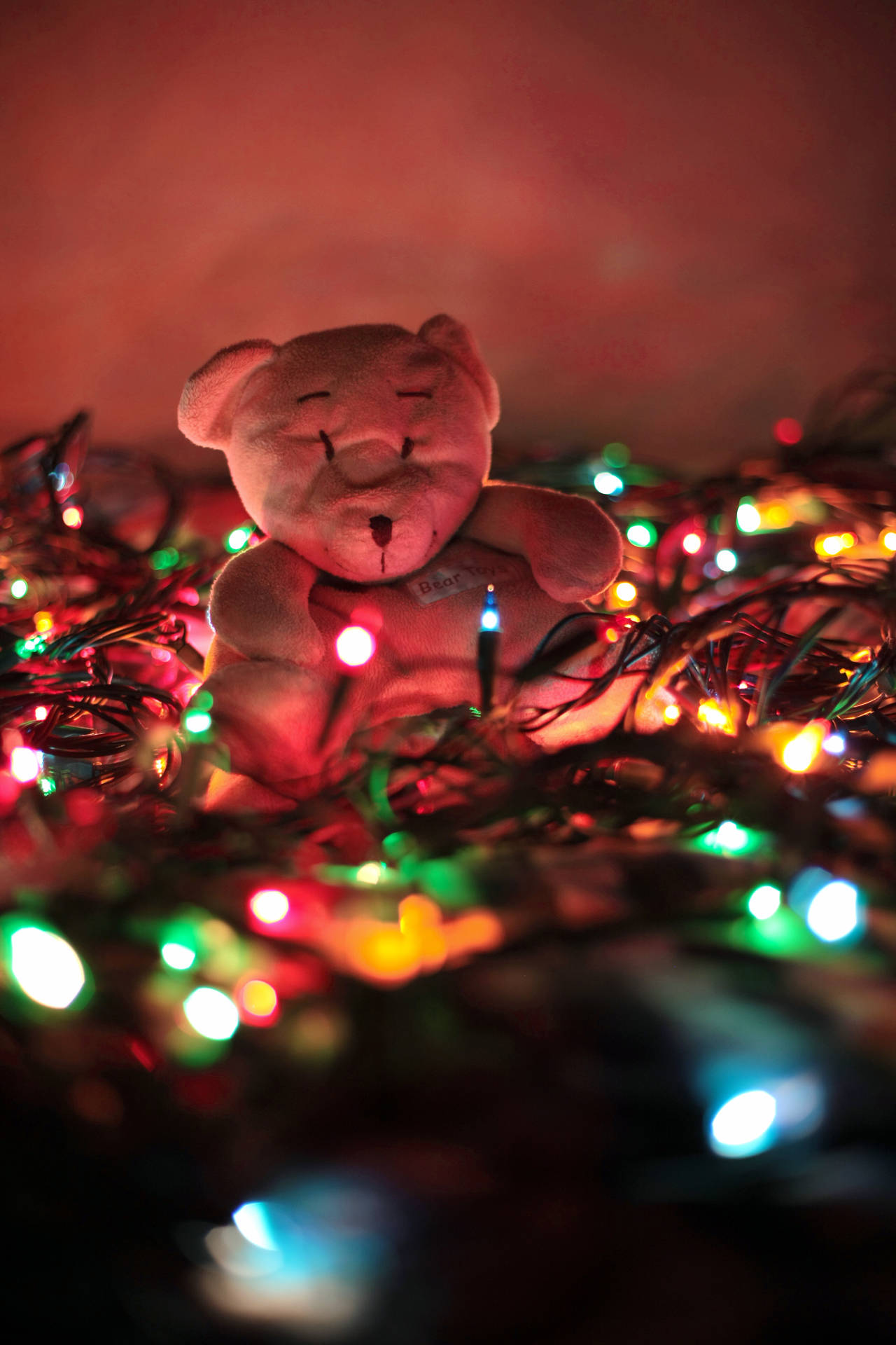 Cute Teddy Bear With Lights Background