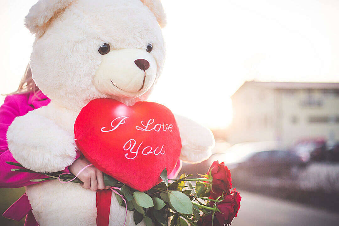 Cute Teddy Bear With Roses Background