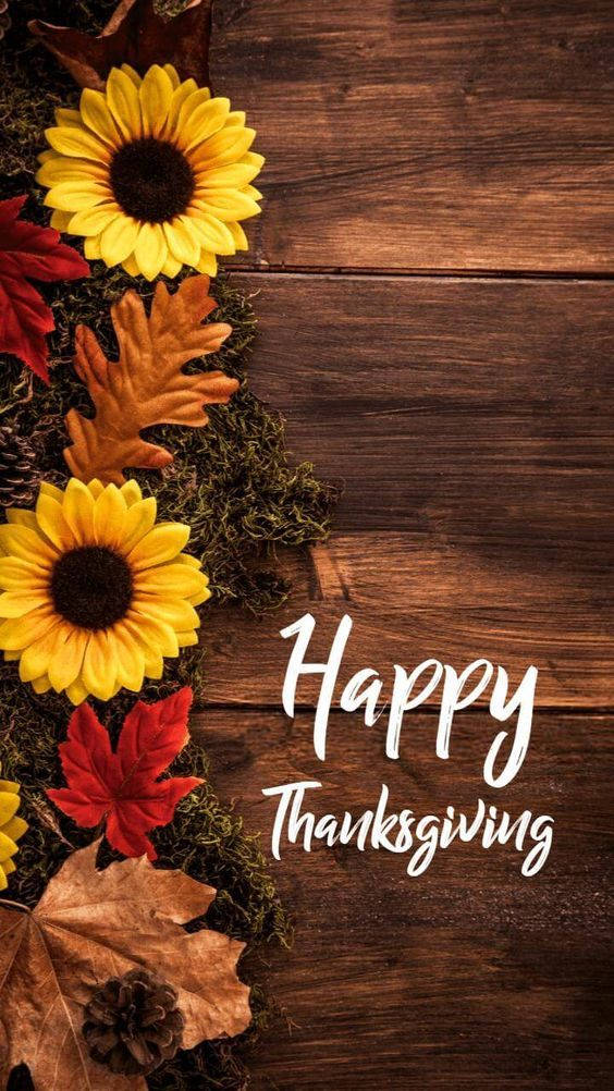 Cute Thanksgiving Sunflowers Background