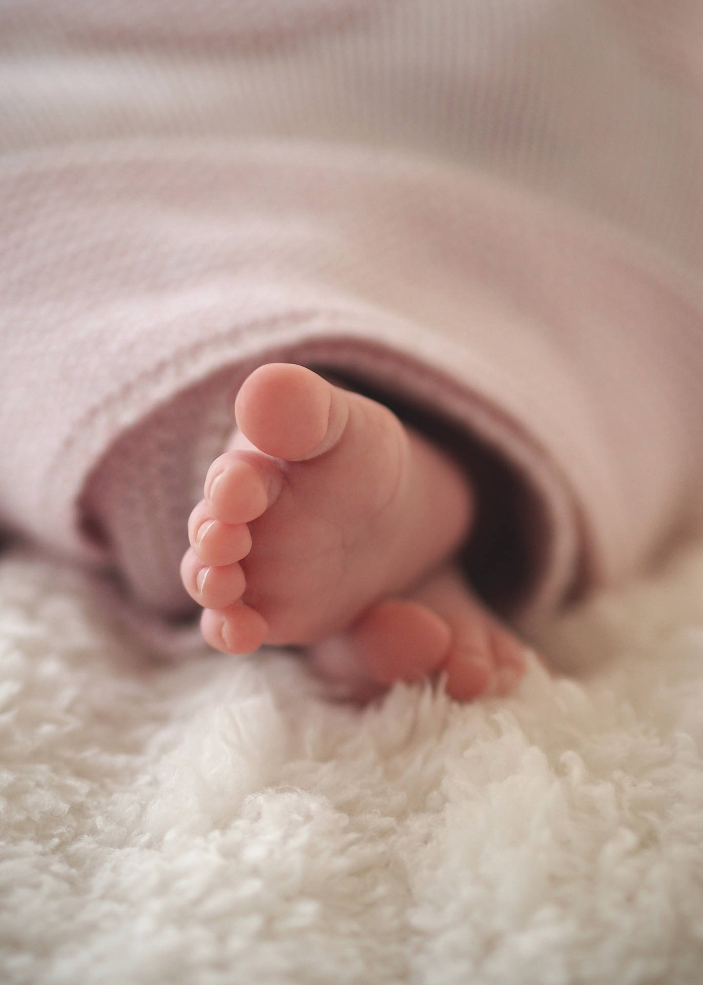 Cute Tiny Baby Feet On Wool