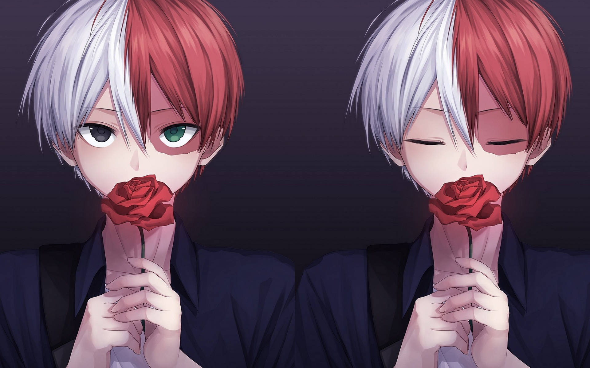 Cute Todoroki Holding Red Rose Background