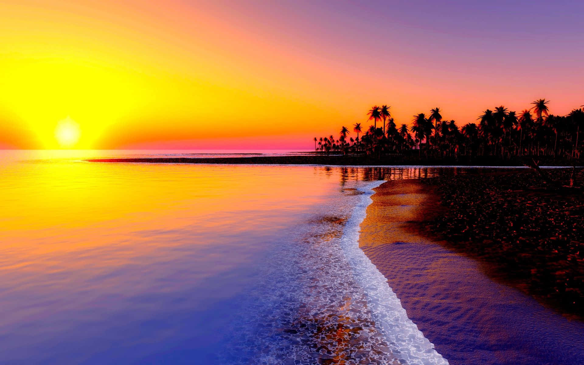 Cute Tropical Sunset Background