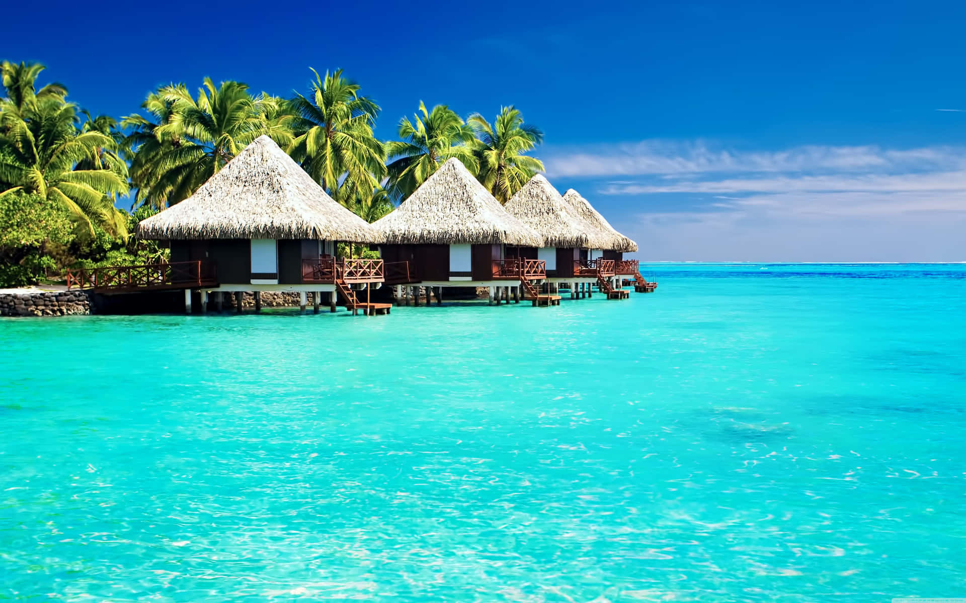 Cute Tropical Thatched Huts Background