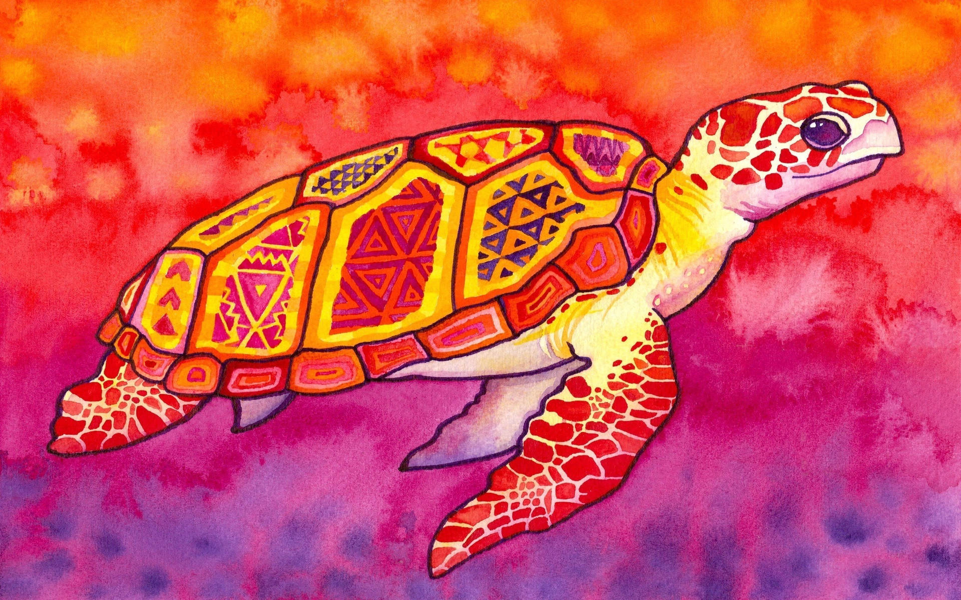 Cute Turtle Red Pattern Background
