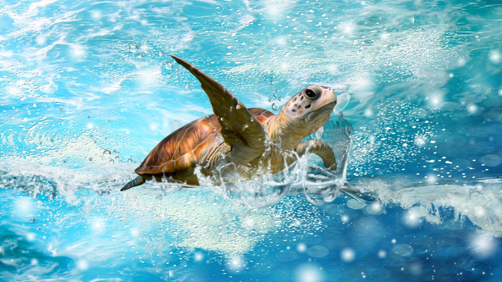 Cute Turtle Swimming In Water Background