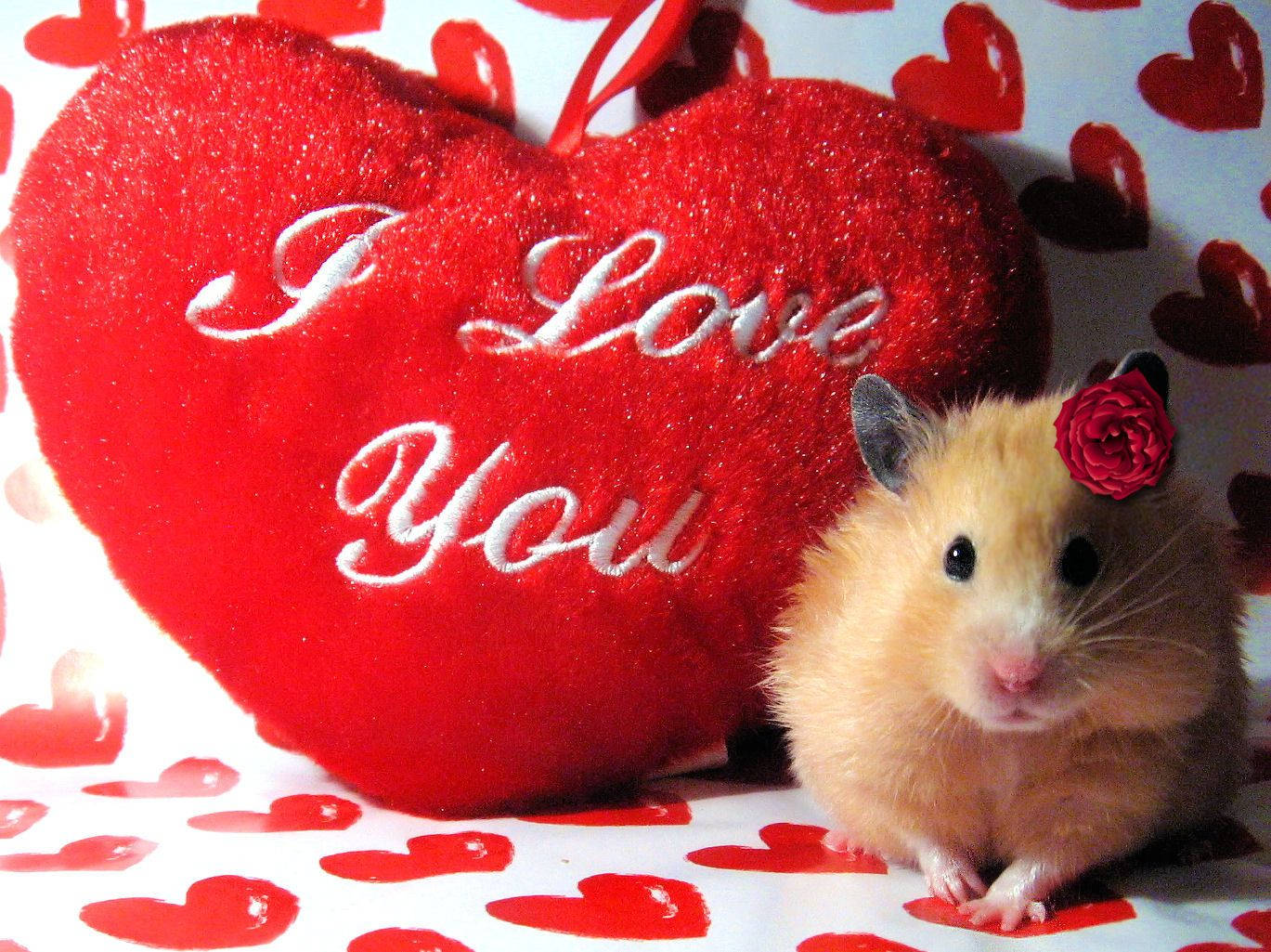 Cute Valentine's Day Hamster Heart Background