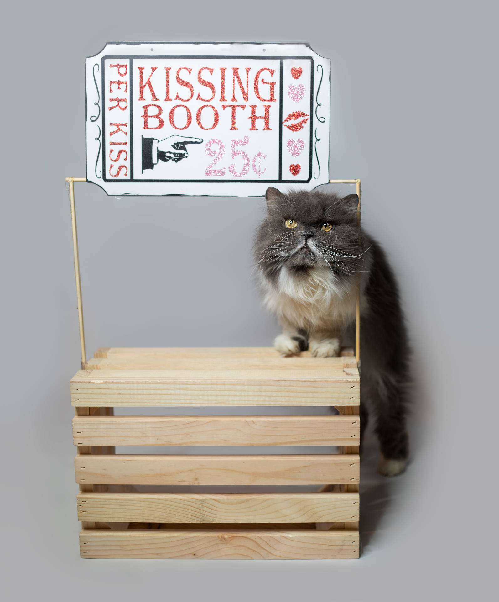 Cute Valentine's Day Kiss Sign Background