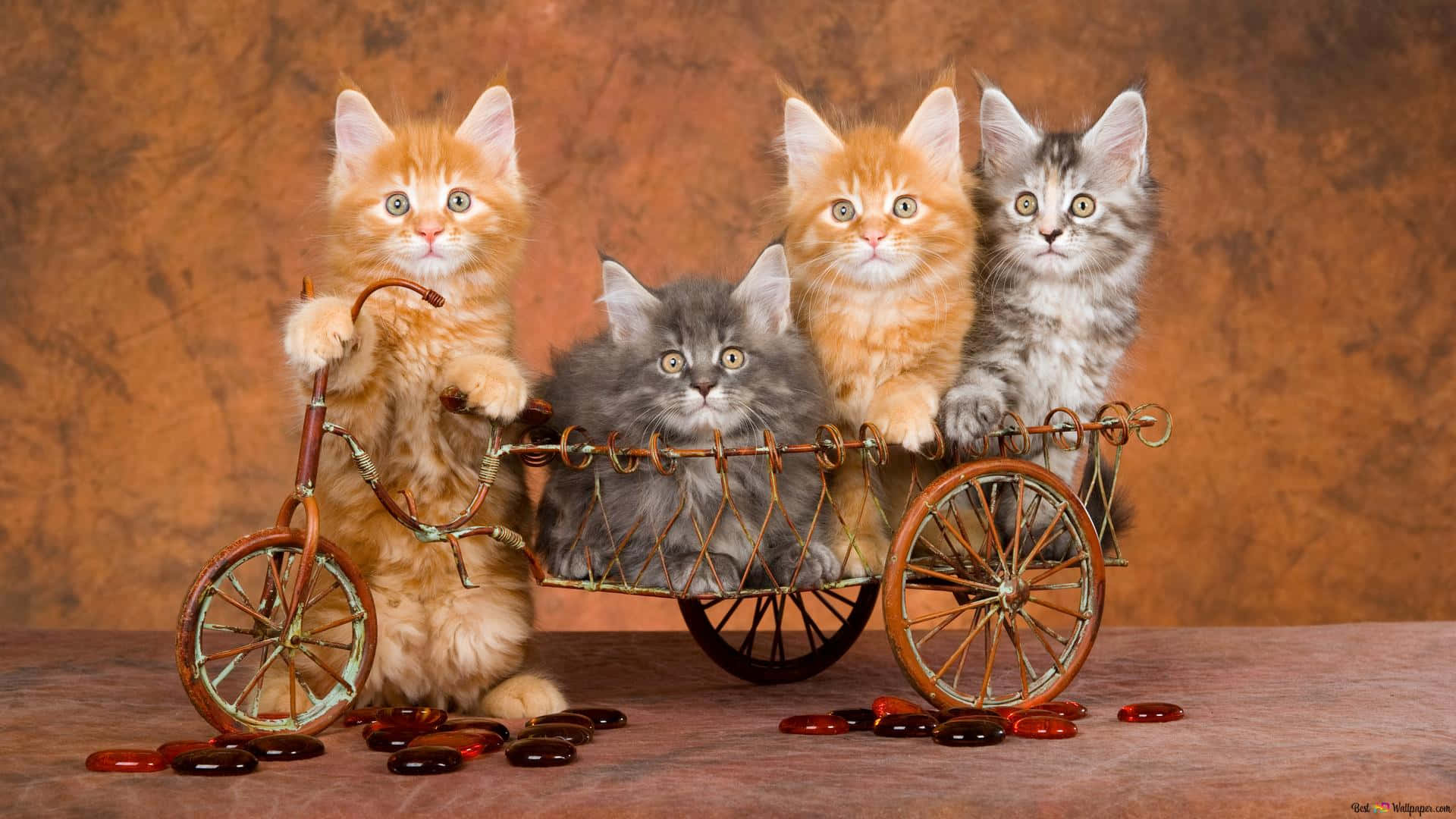 Cute Vintage Four Kittens Background
