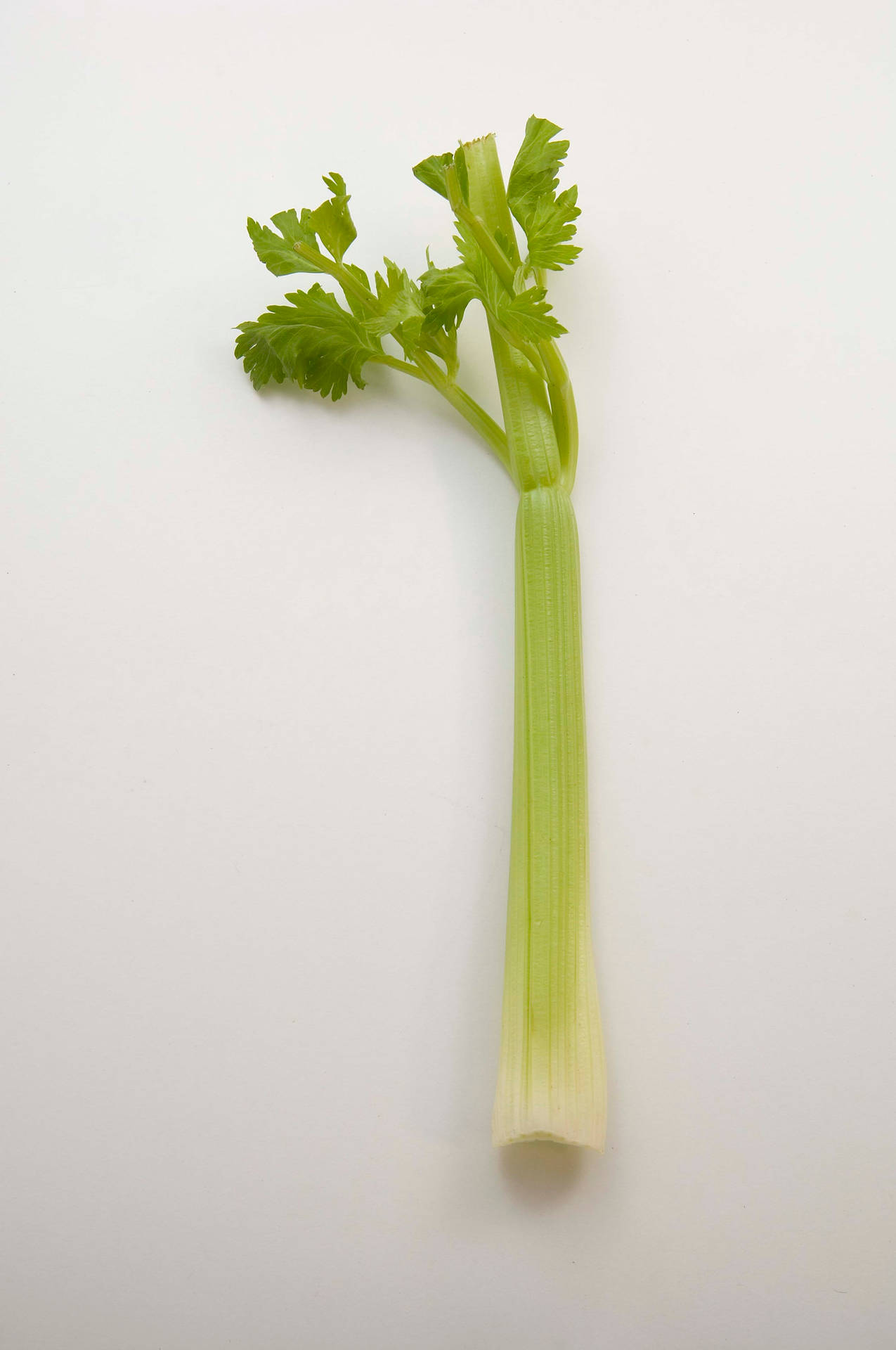 Cute Waving Celery Stalk Background