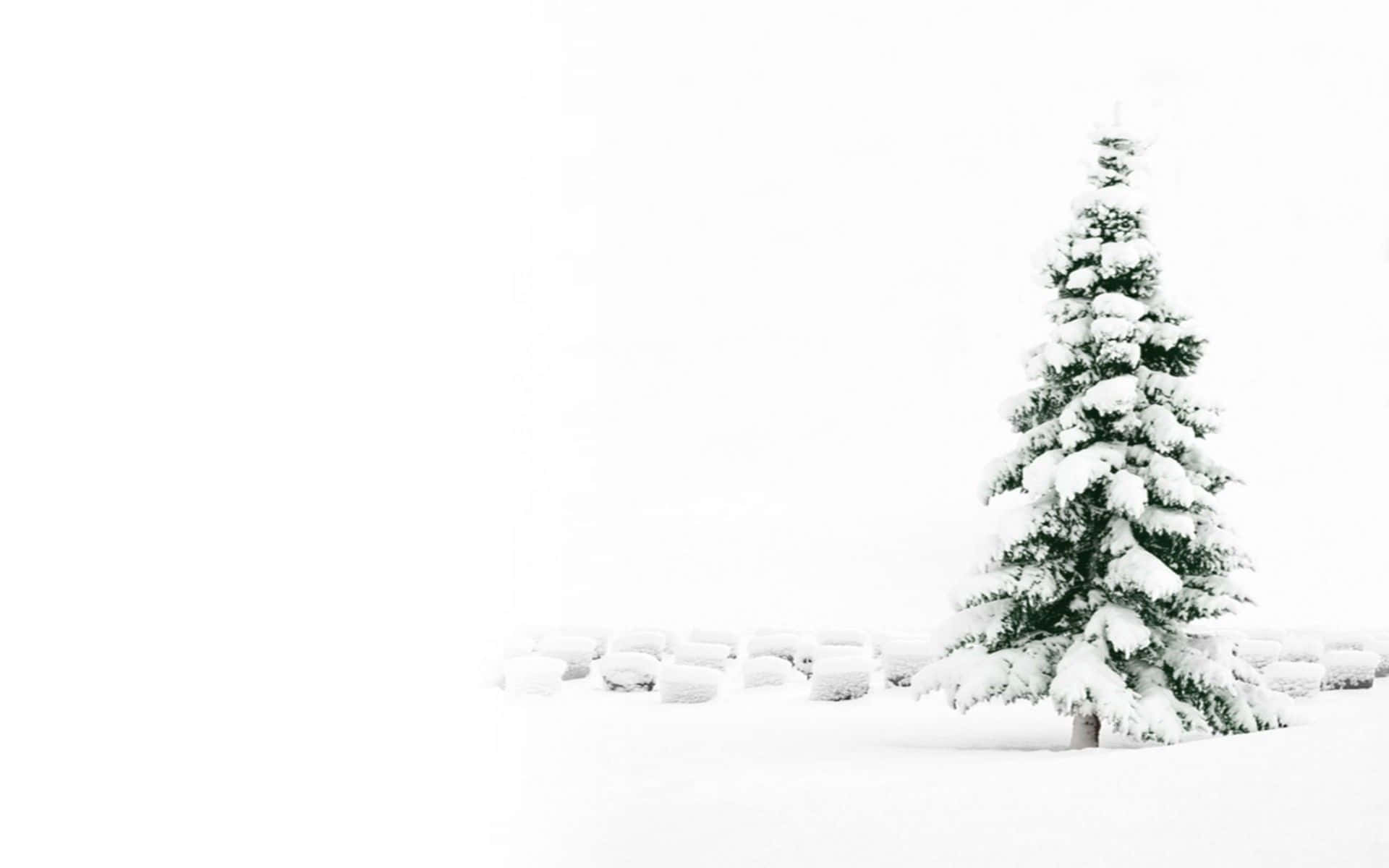 Cute White Christmas Tree Snow