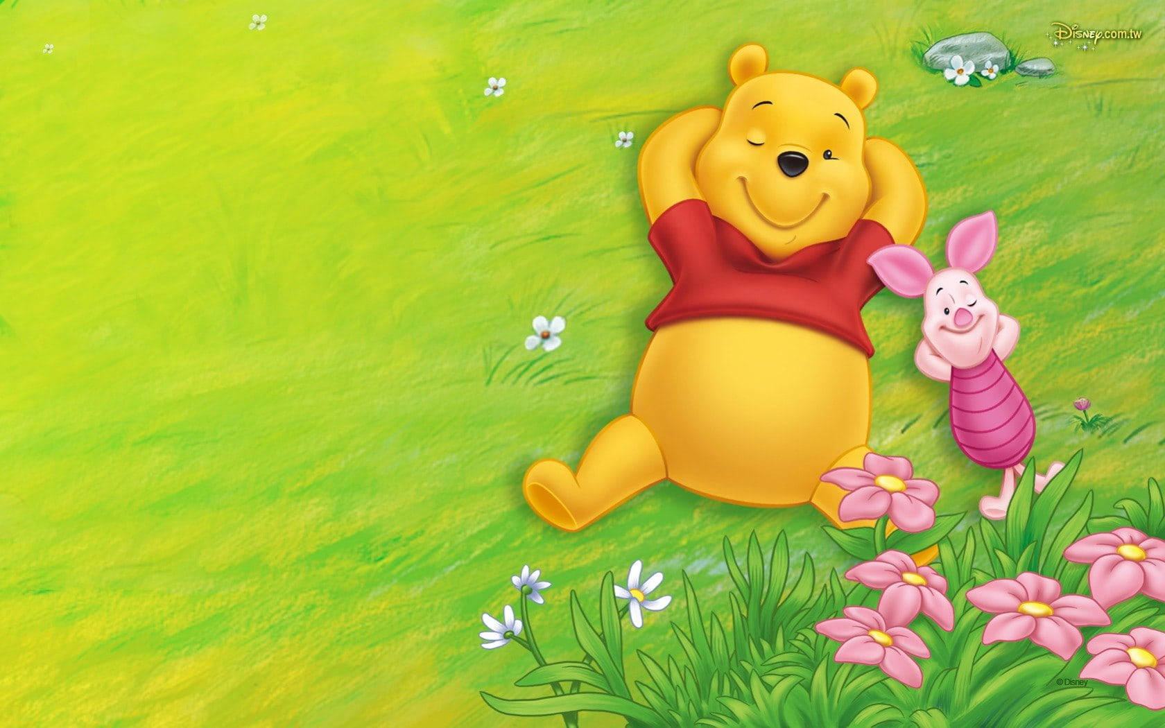 Cute Winnie The Pooh Lying In Grass