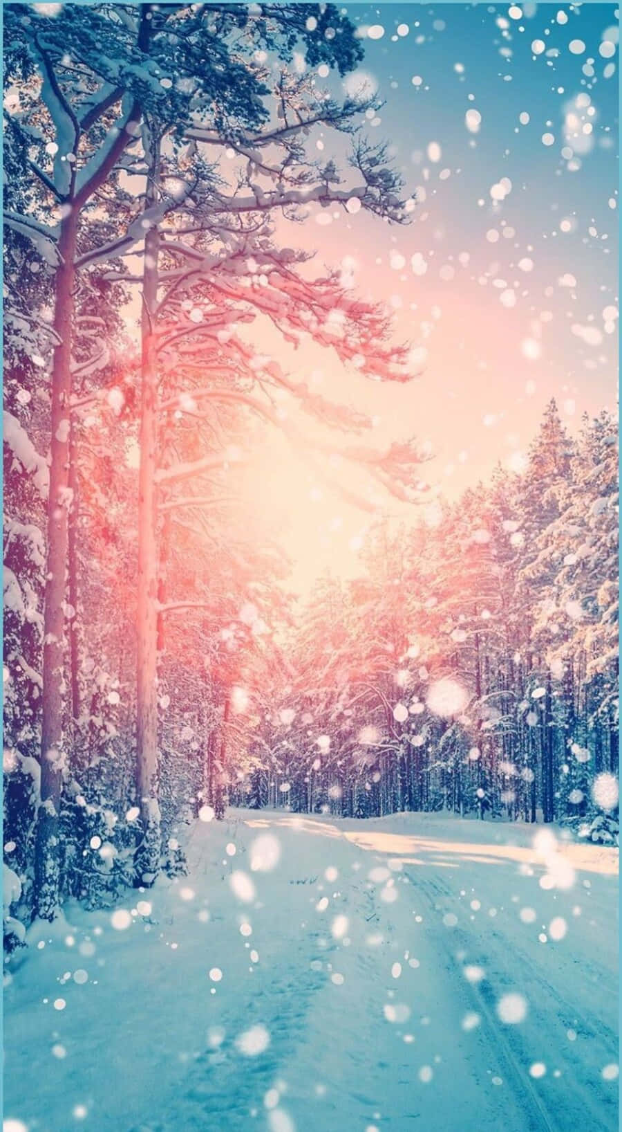 Cute Winter Aesthetic 900 X 1636 Wallpaper Background