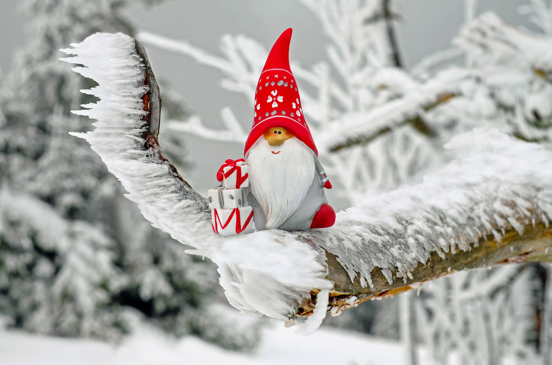 Cute Winter Gnome Background