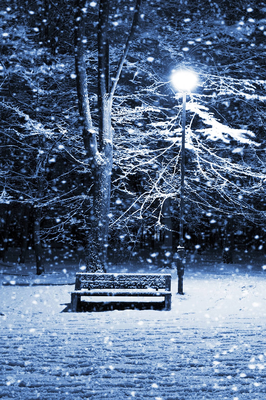 Cute Winter Iphone Bench In Forest Background