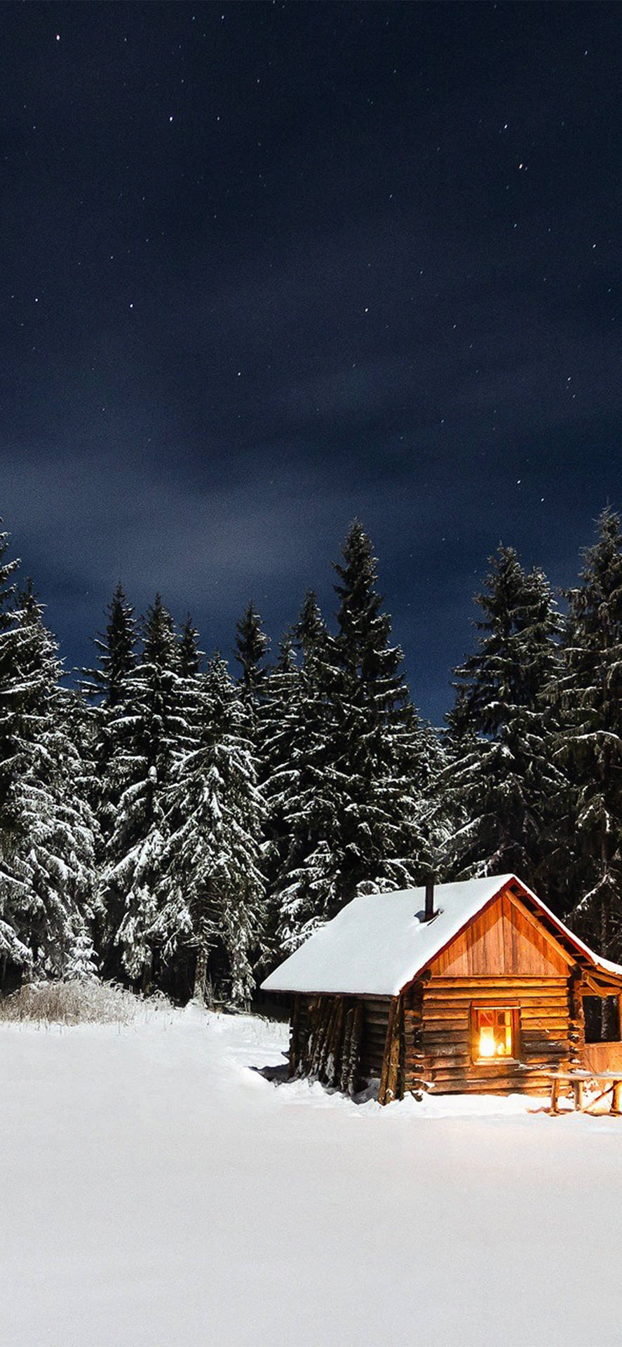 Cute Winter Iphone Cabin In Forest Background