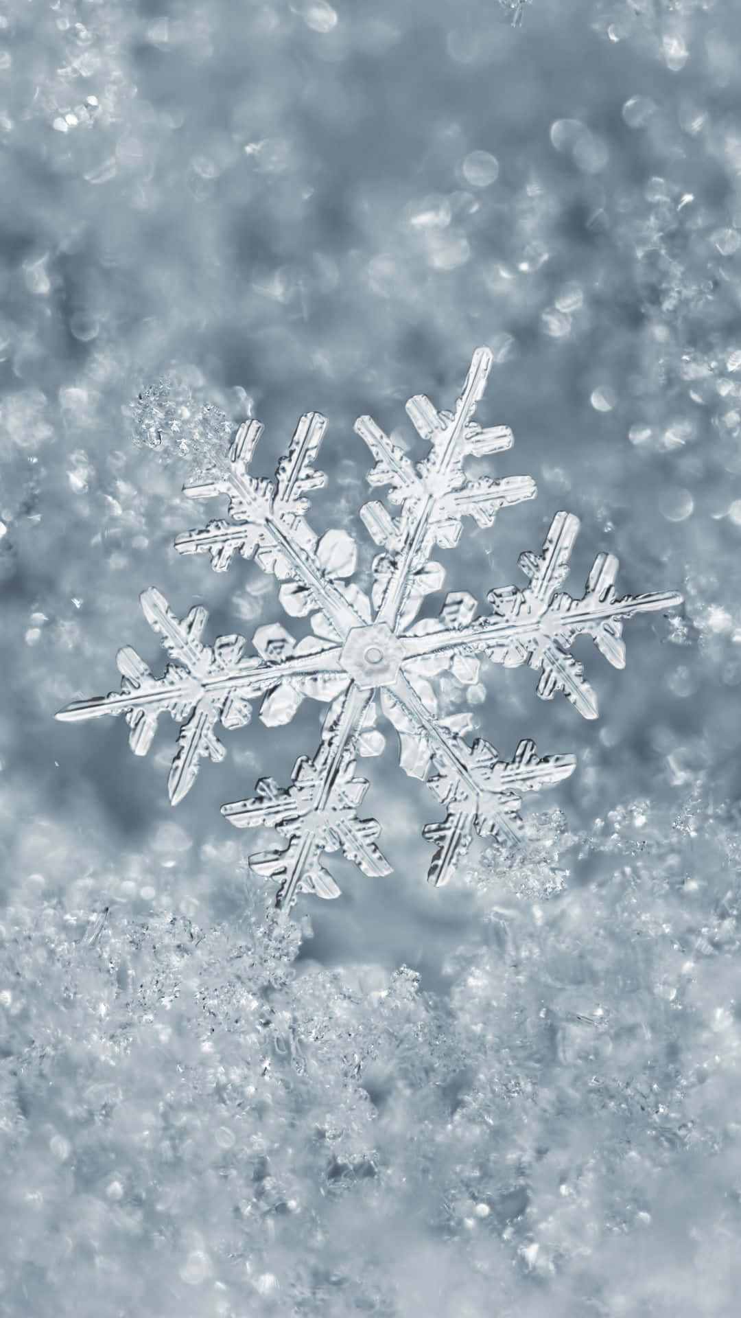 Cute Winter Snowflake In Middle Phone Background