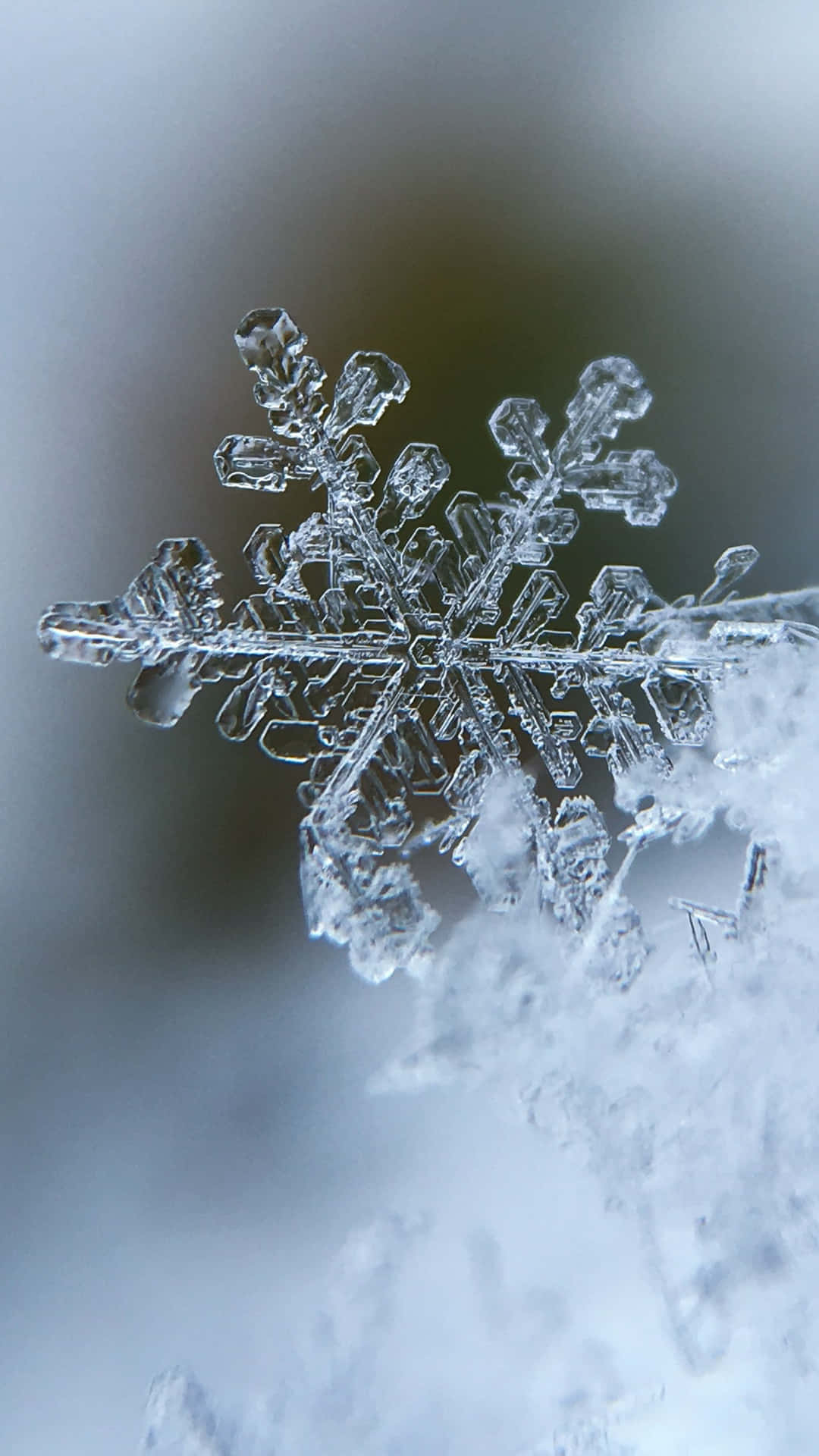 Cute Winter Snowflake Phone Background