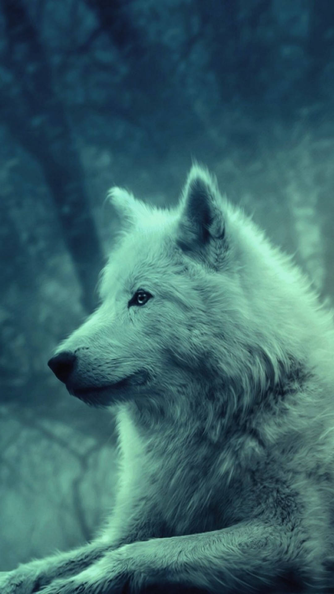 Cute Wolf Portrait Bluish Filter