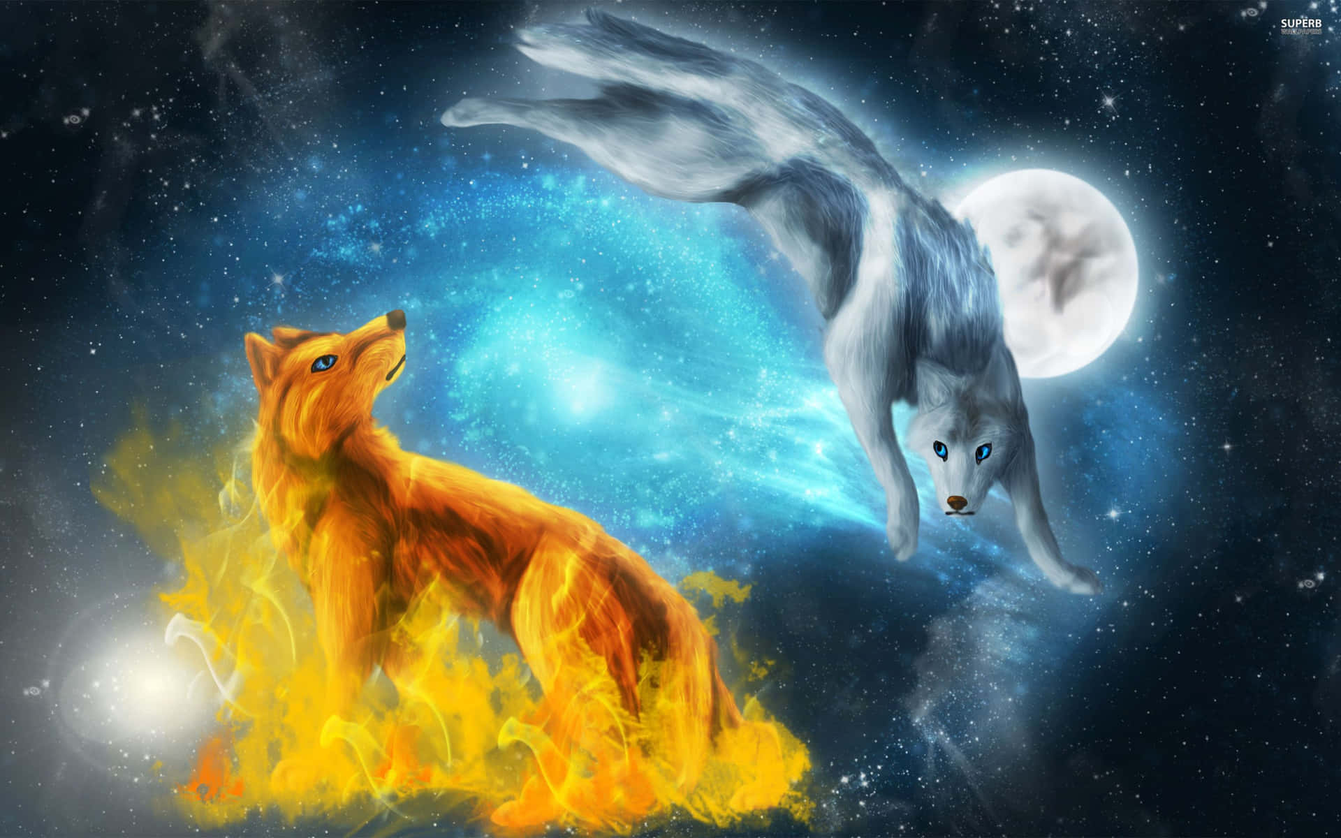 Cute Wolves Fighting With Moon Background