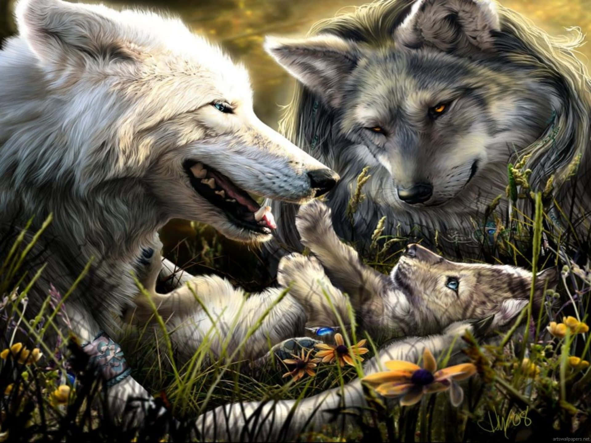 Cute Wolves Looking At Pup Background