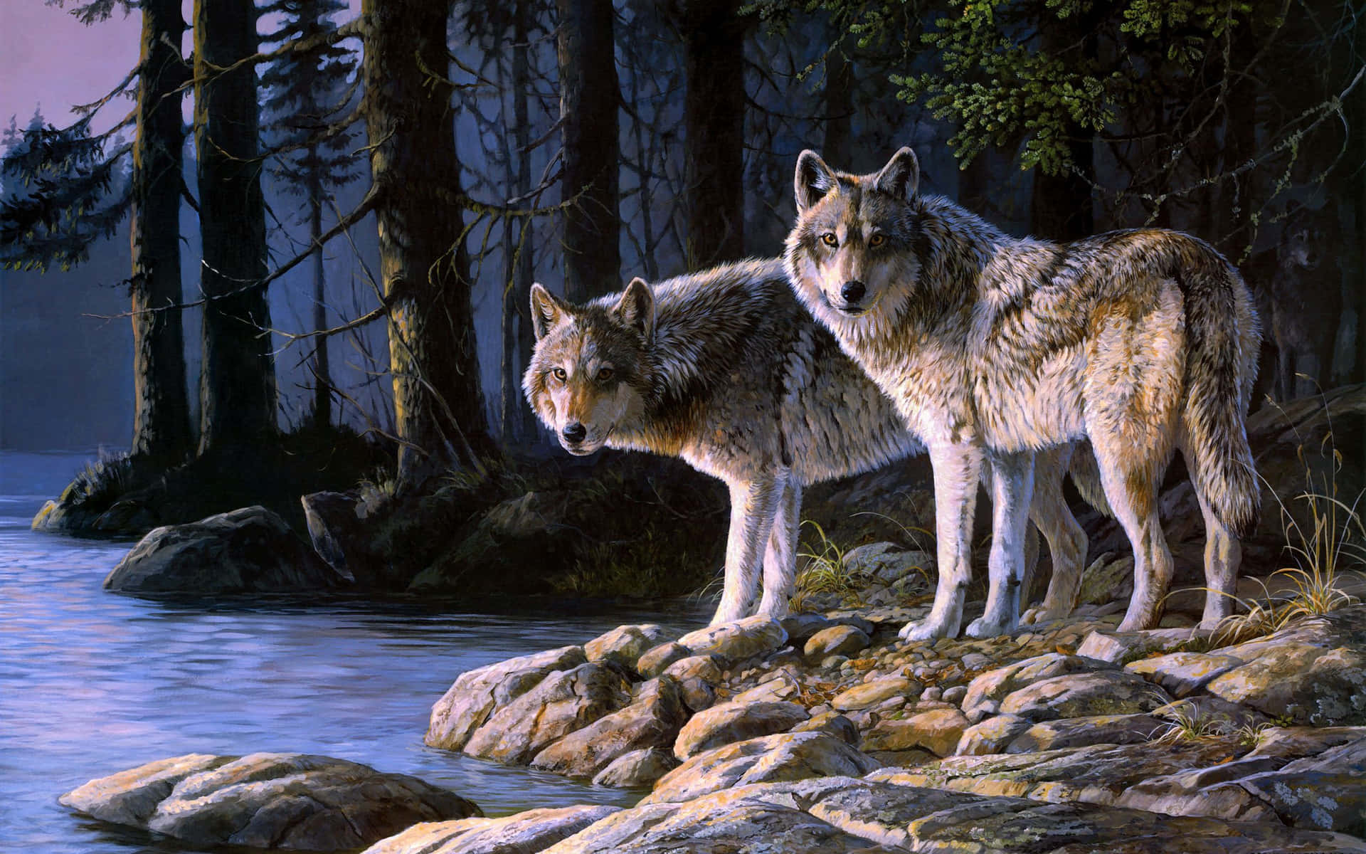 Cute Wolves Near River Background