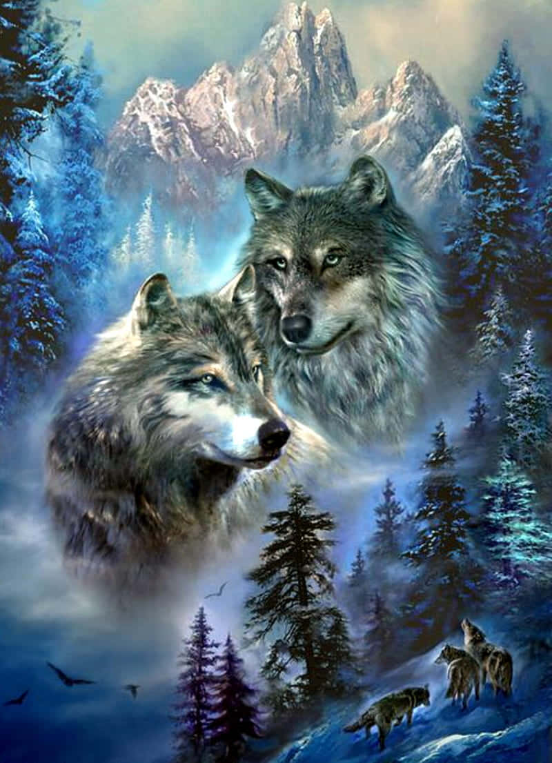 Cute Wolves With Pine Trees Background