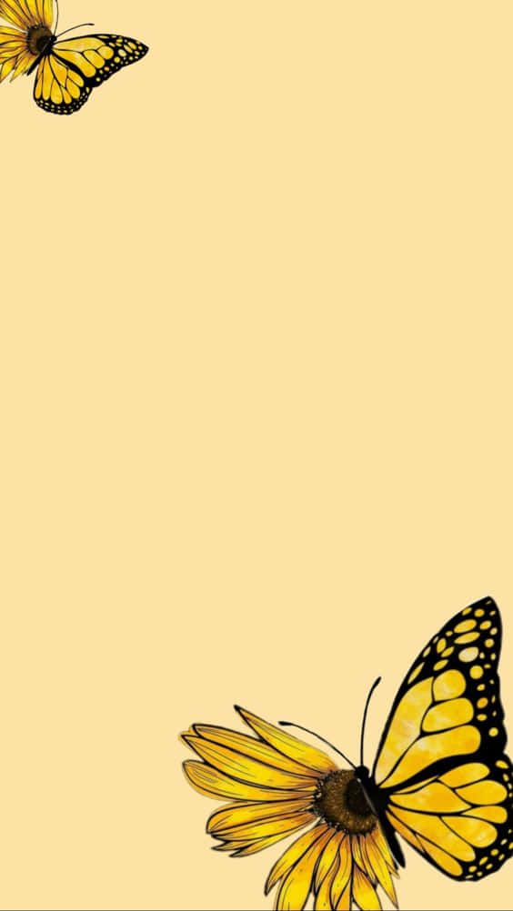 Cute Yellow Butterflies Flower Background