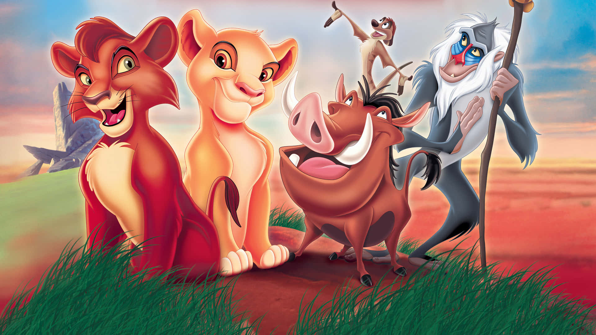 Cuteness Overload - A Baby Lion King! Background