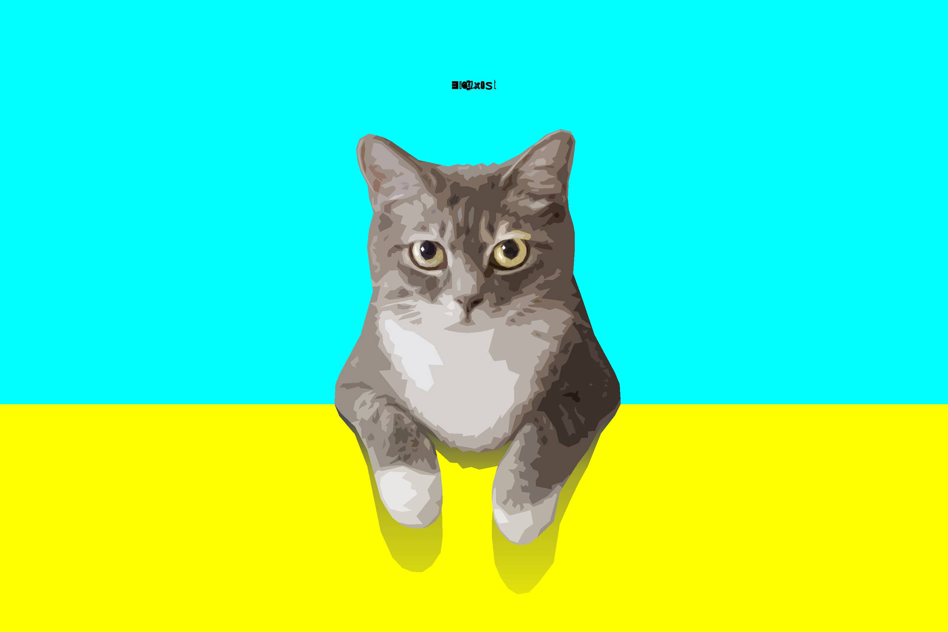 Cyan And Yellow Cat Background