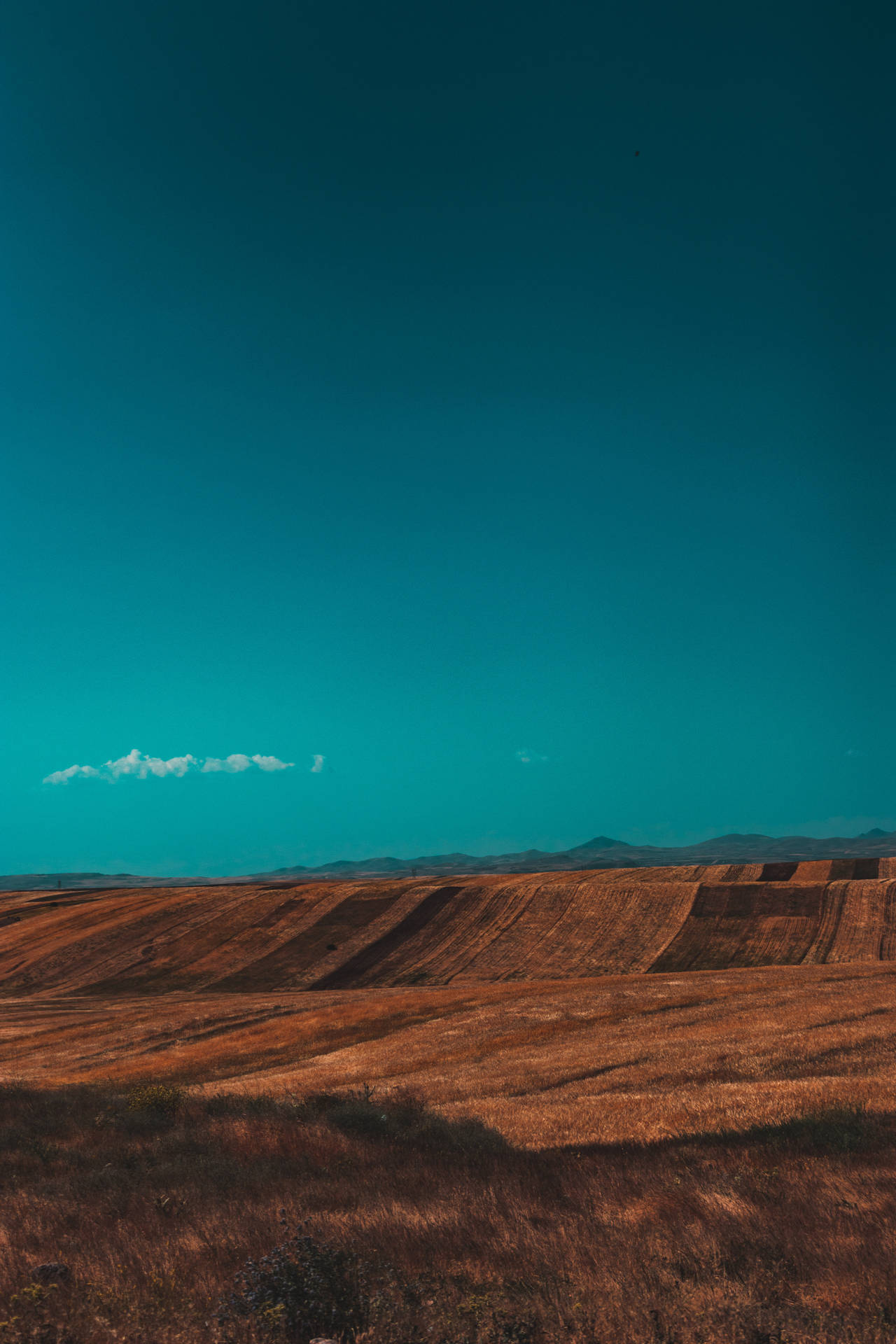Cyan Sky And Brown Field Background