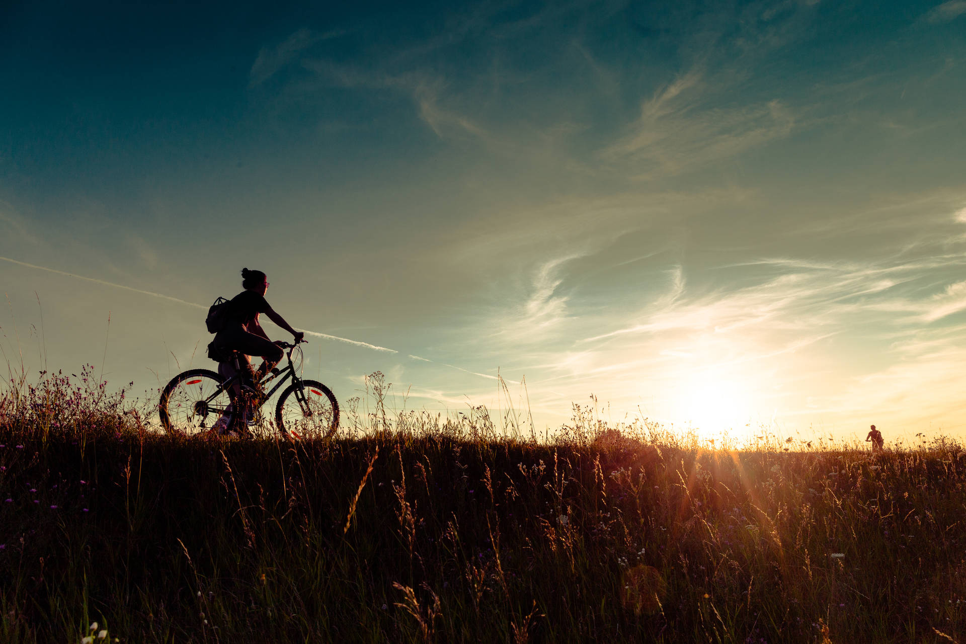 Cycling Field Sunset Silhouette Background