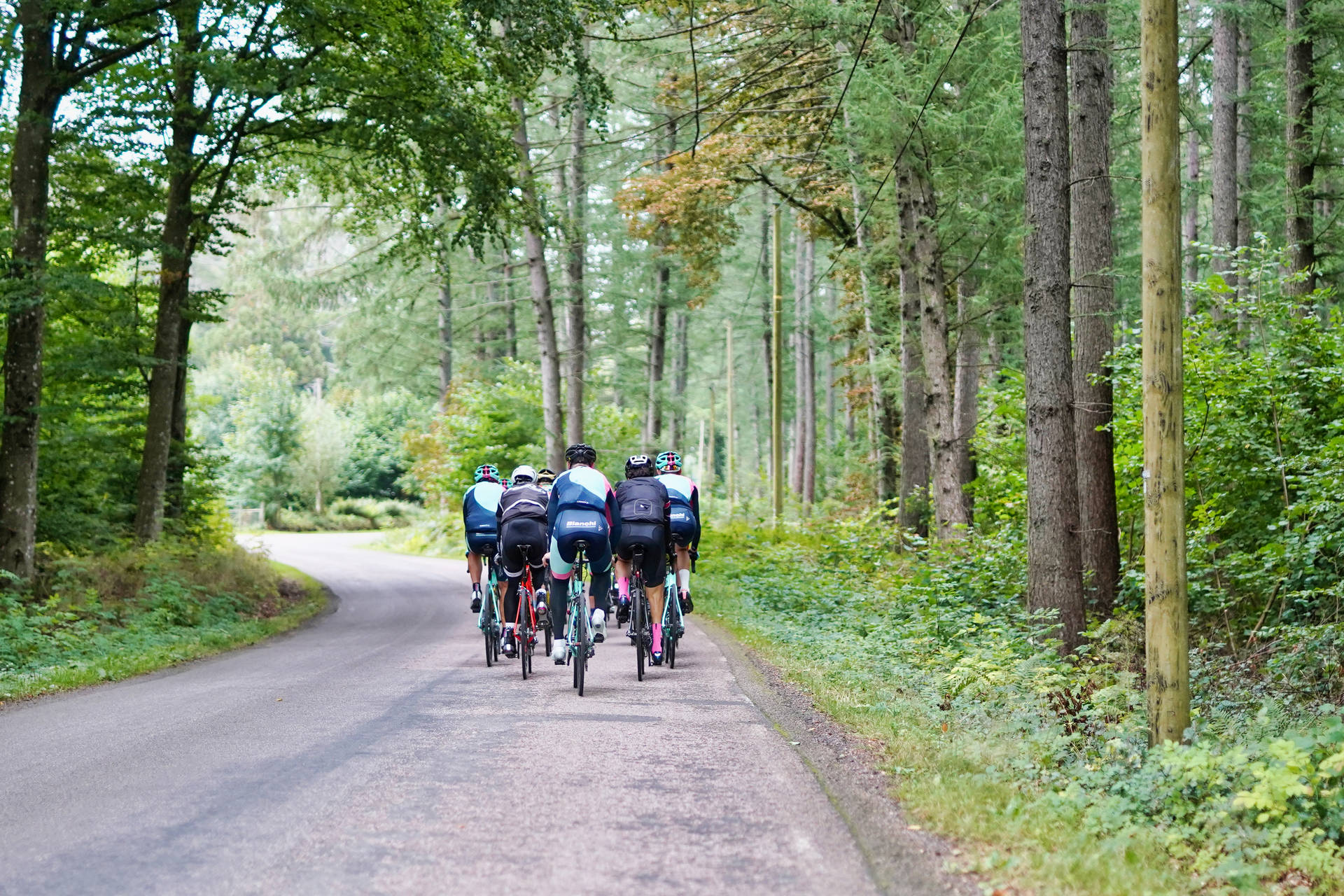 Cycling Group On Forest Road