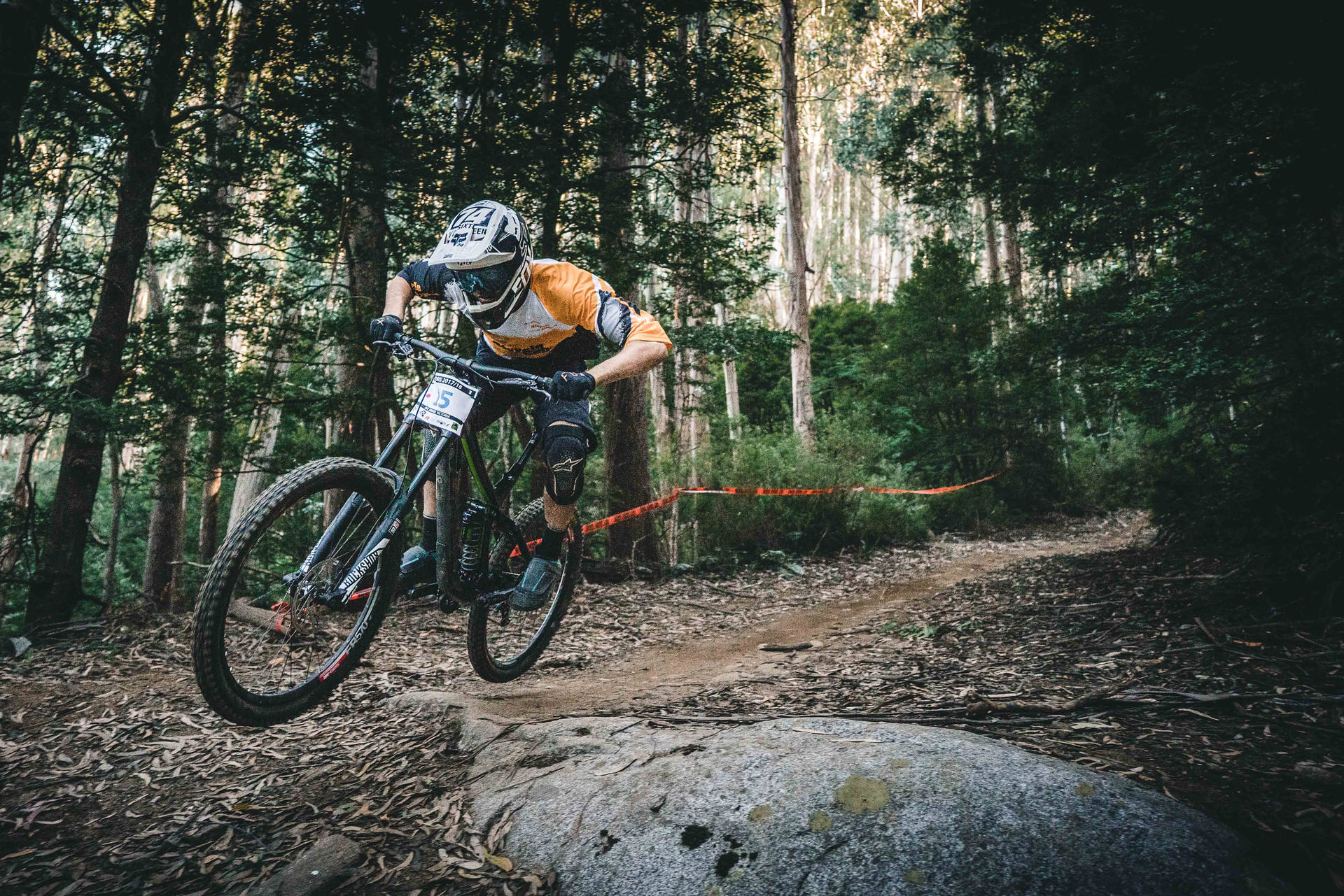 Cycling In Mountain Forest Background