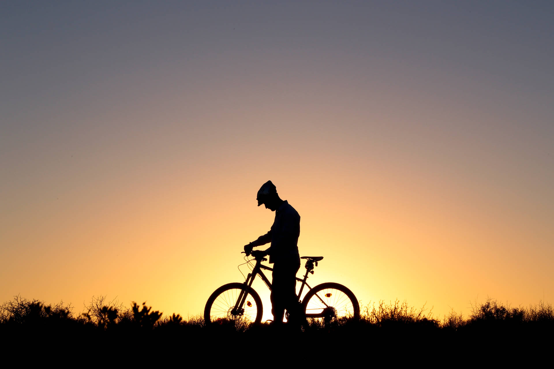 Cycling Man Silhouette Sunset
