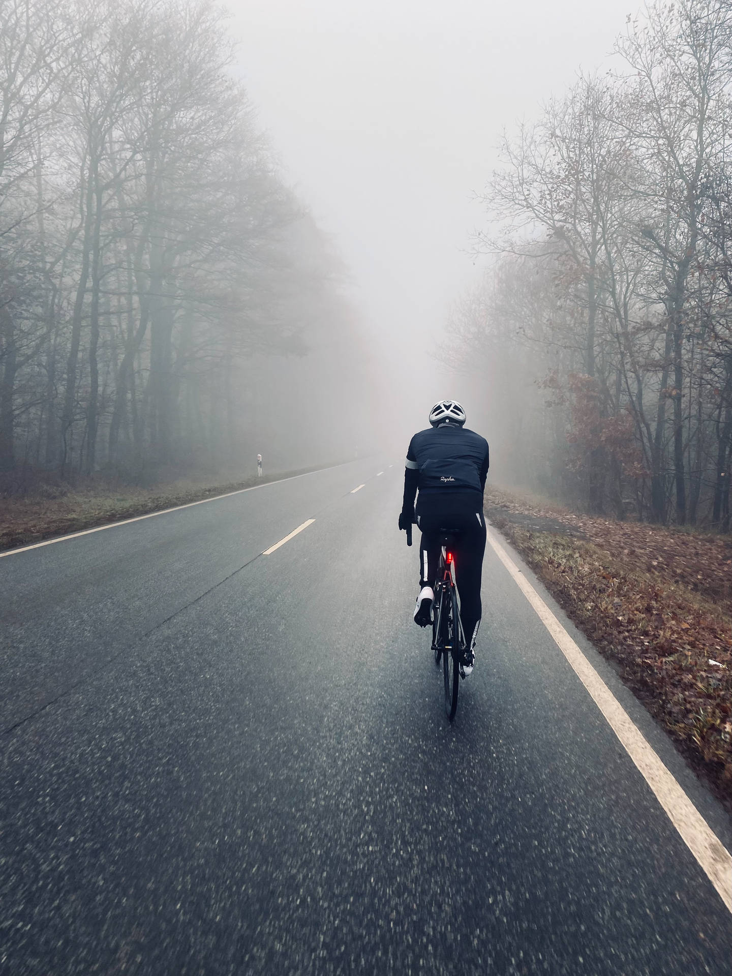 Cycling On Foggy Autumn Road