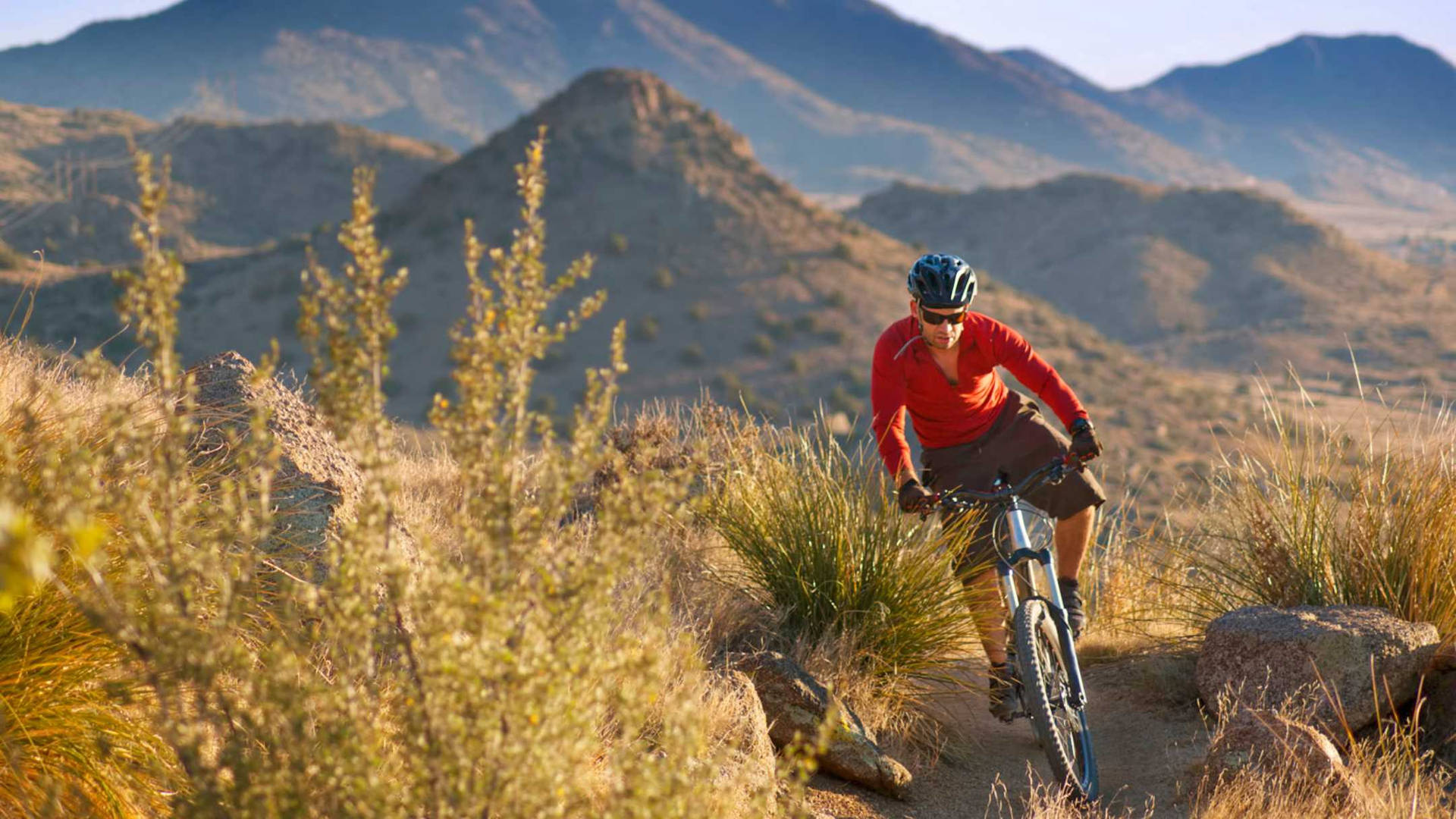 Cyclist Trail Ride Mountain Biking