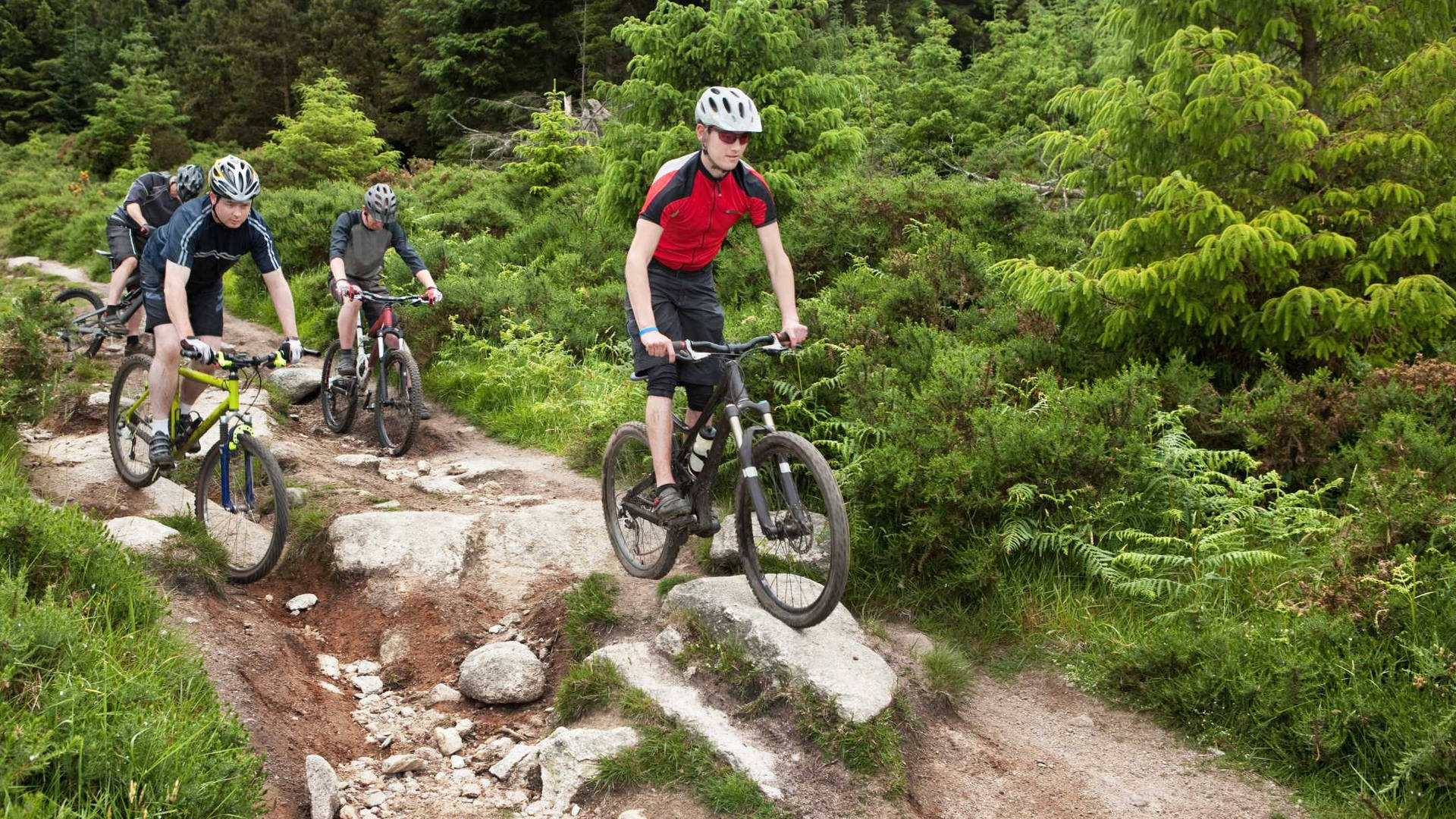 Cyclists Mountain Biking Rocky Mountain Terrain Background