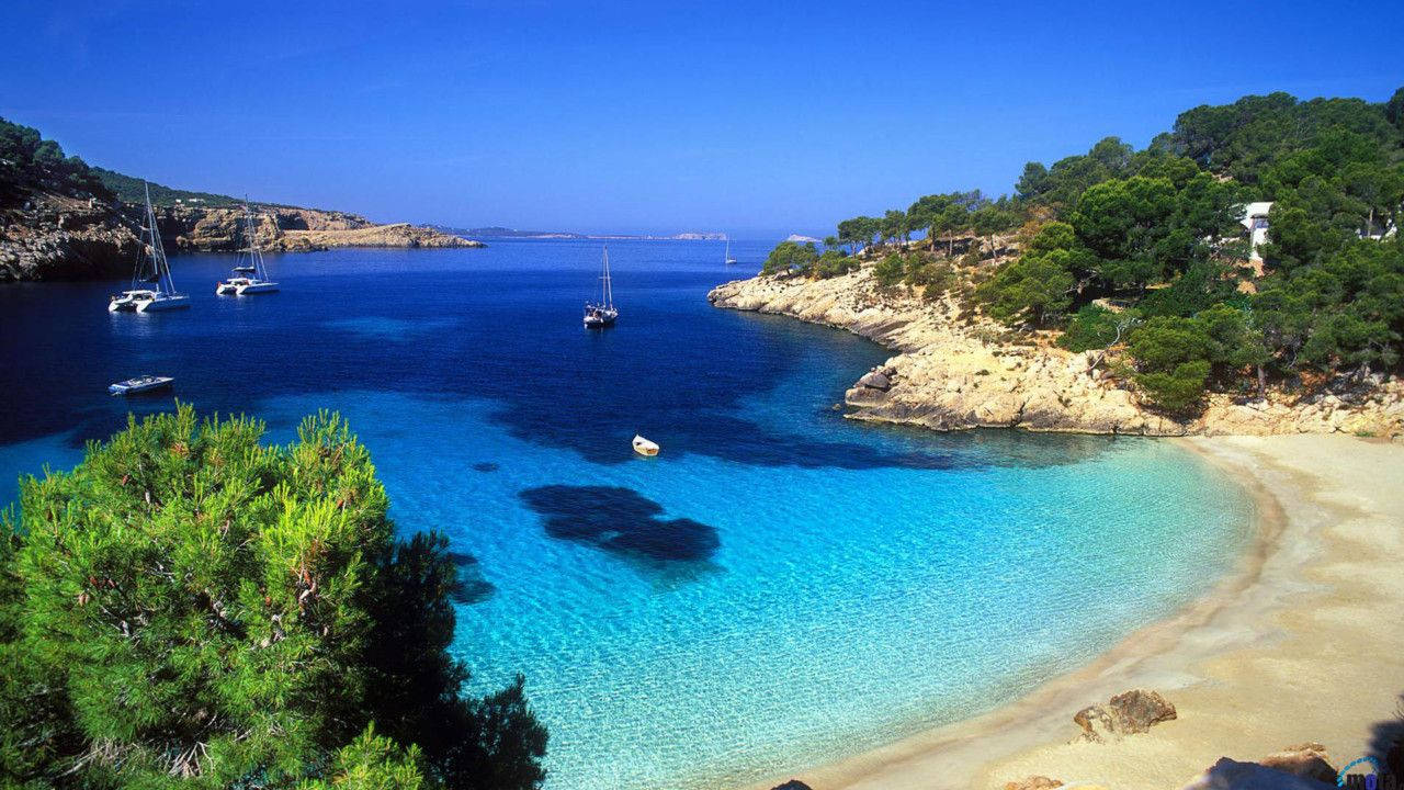 Cyprus Mediterranean Diving Spot Background