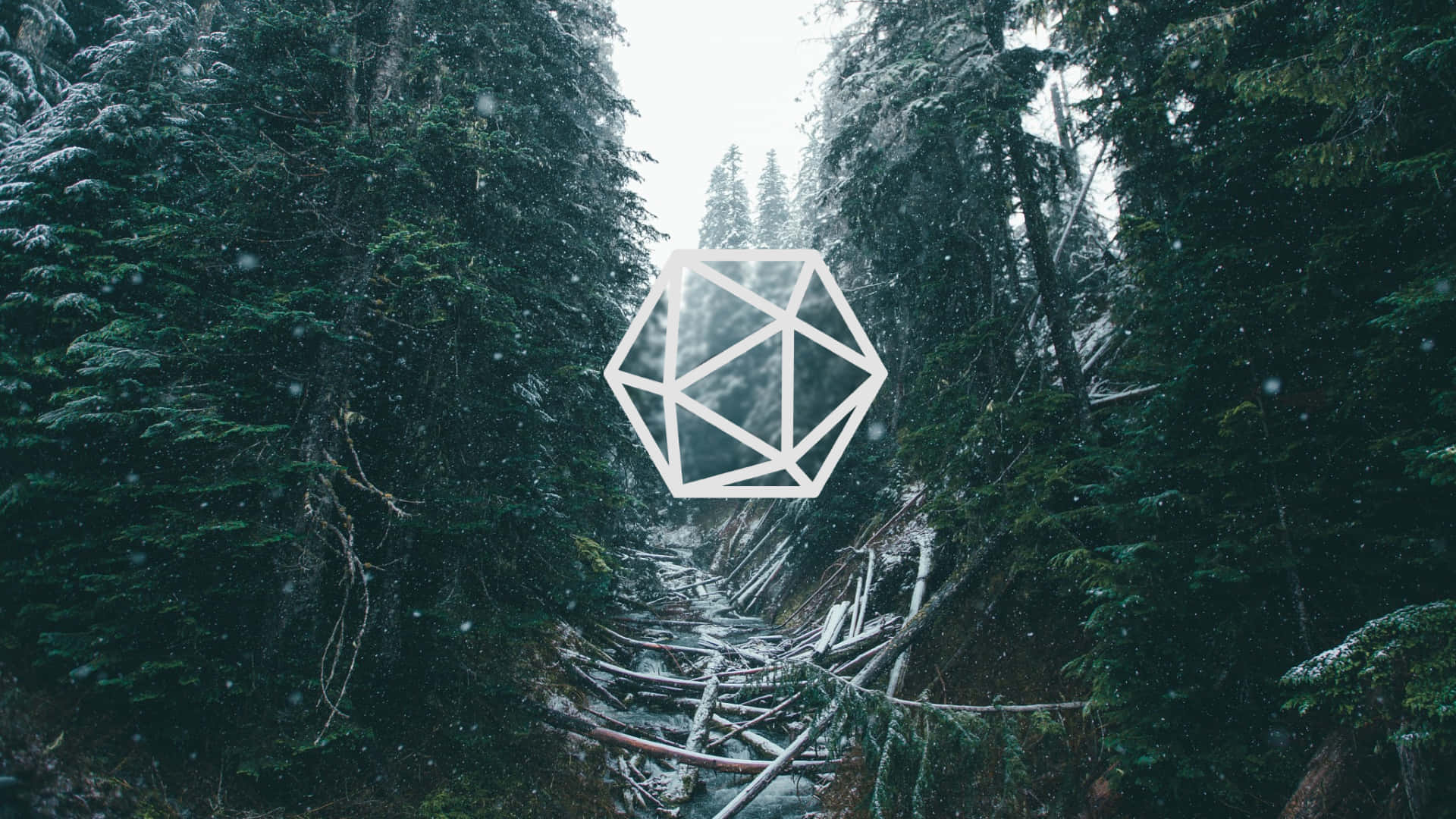D20 1920 X 1080 Background