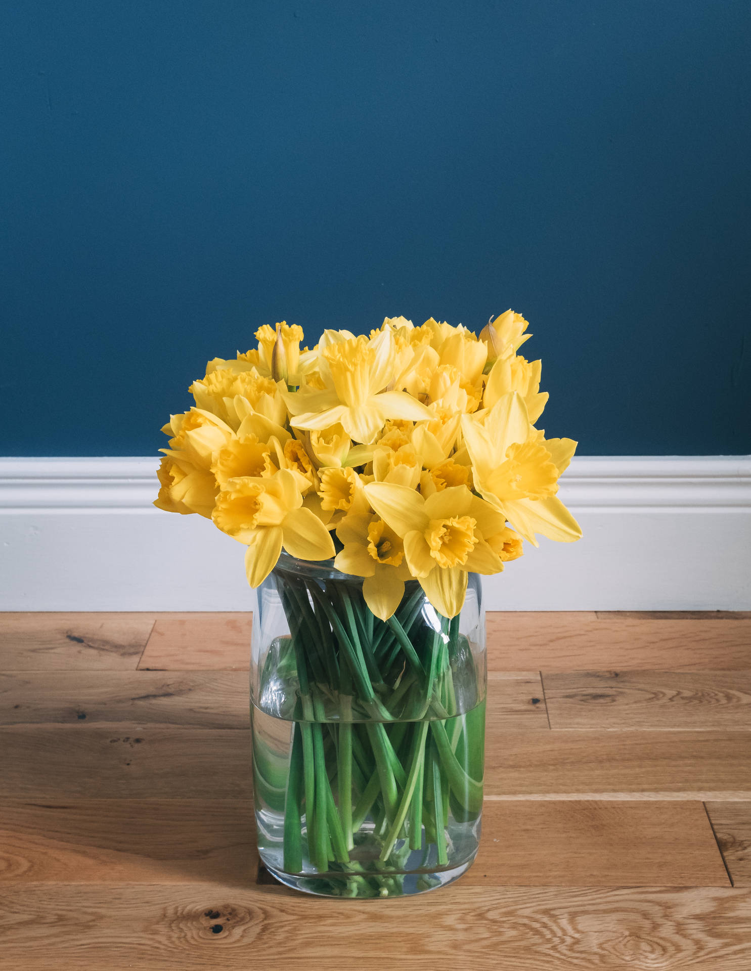 Daffodil Flower Arrangement Background