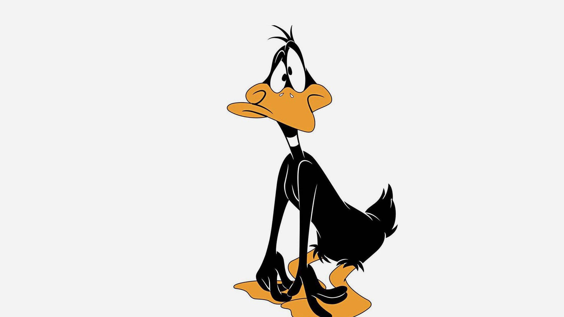 Daffy Duck In Aesthetic White Background