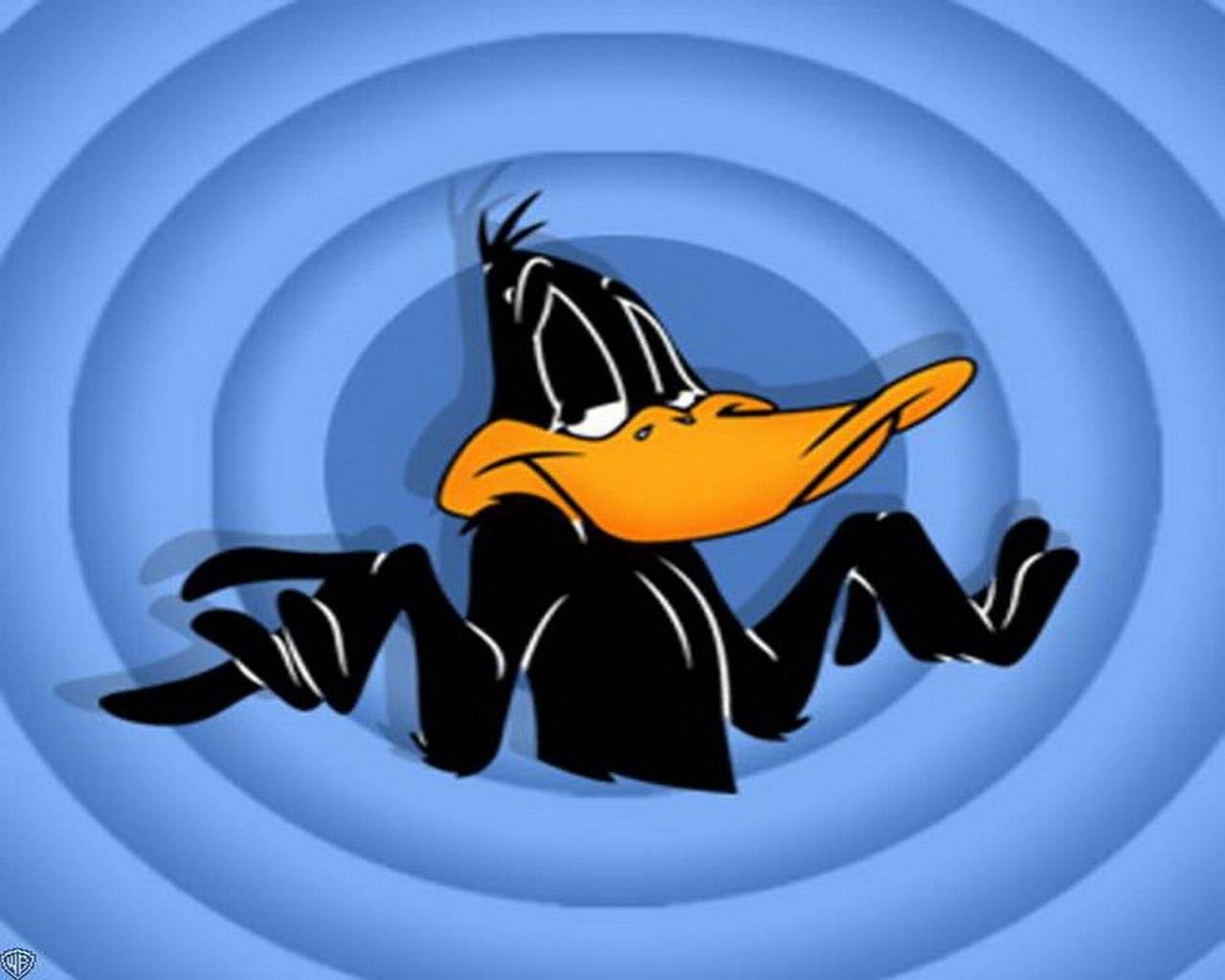 Daffy Duck Shrug Pose Background