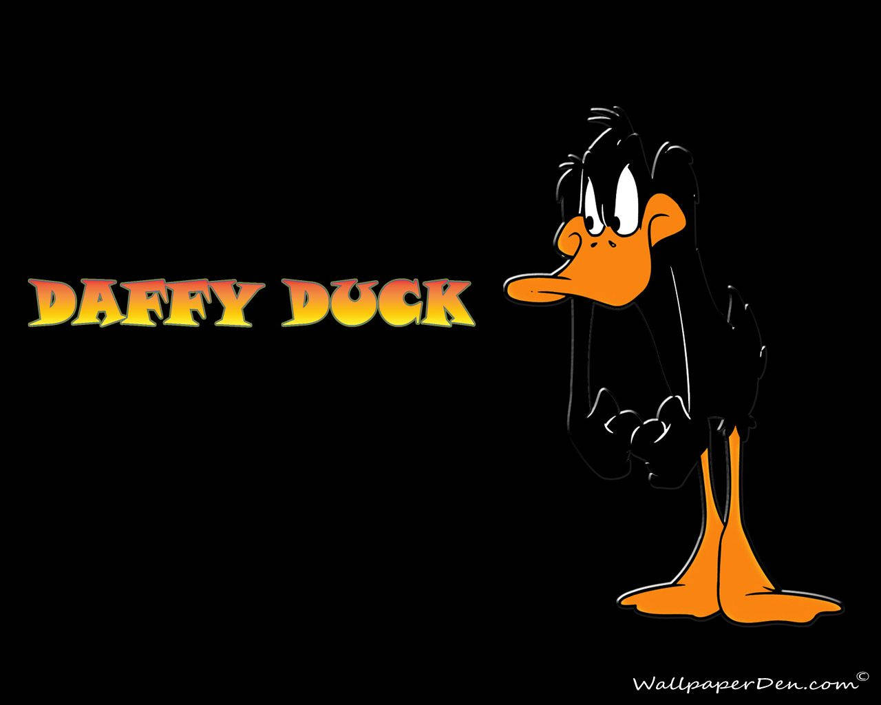 Daffy Duck Wallpapers - Wallpapers For Desktop Background