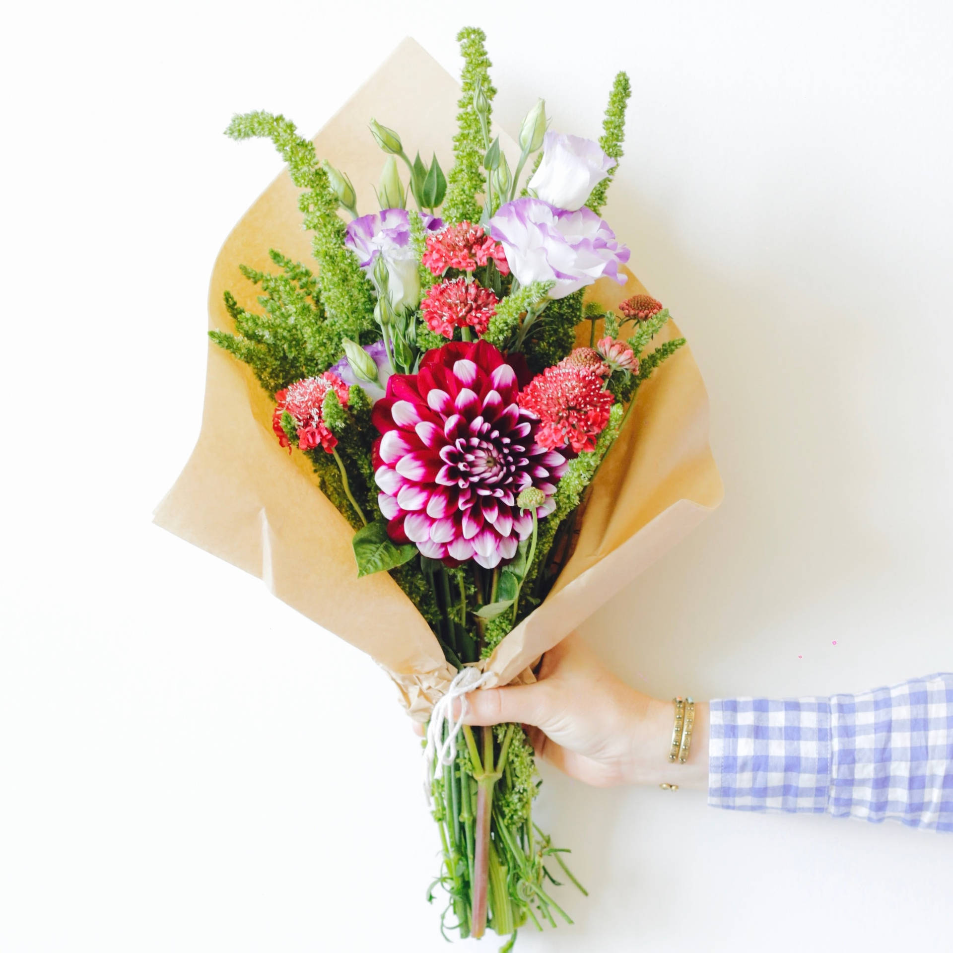 Dahlia Pinnata And Everlasting Flower Bouquet Background