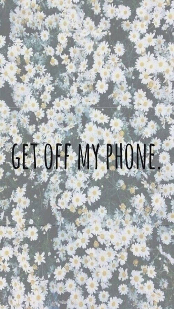 Daisies Get Off My Phone Background