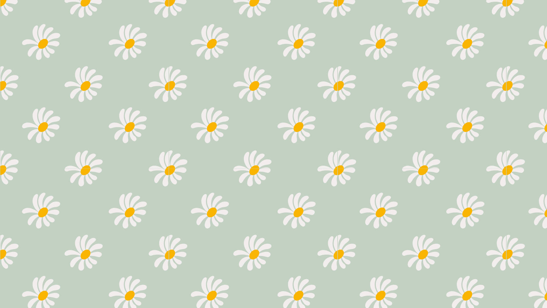 Daisies Sage Green Desktop Background