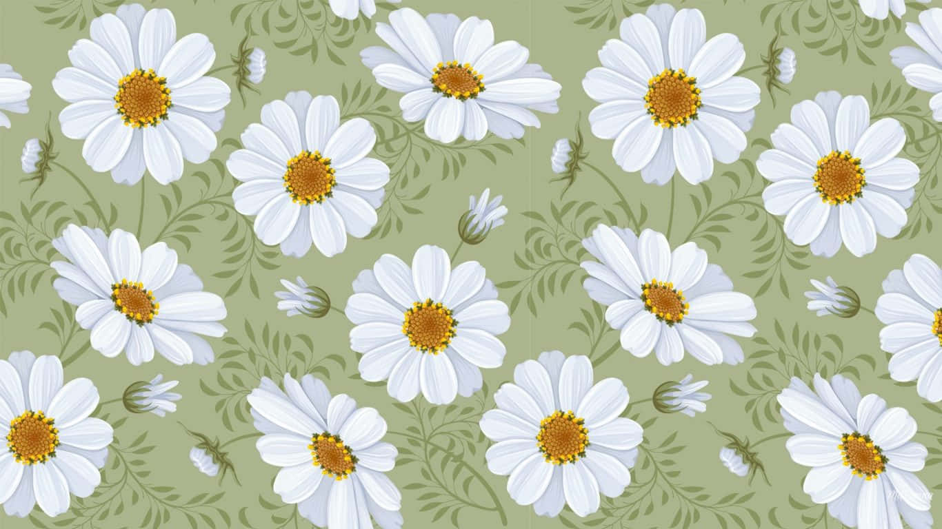 Daisy Aesthetic Computer Olive Green Background