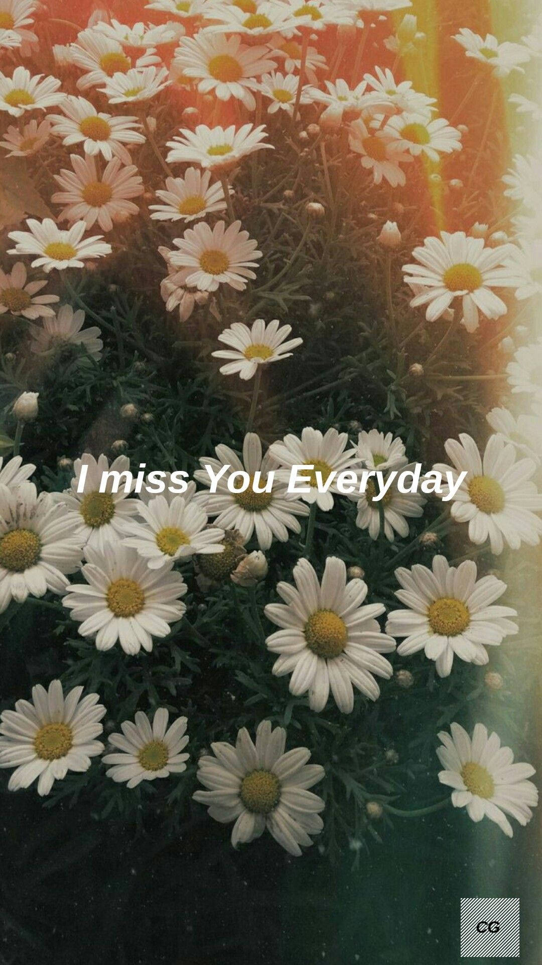 Daisy Aesthetic Miss You Everyday Background